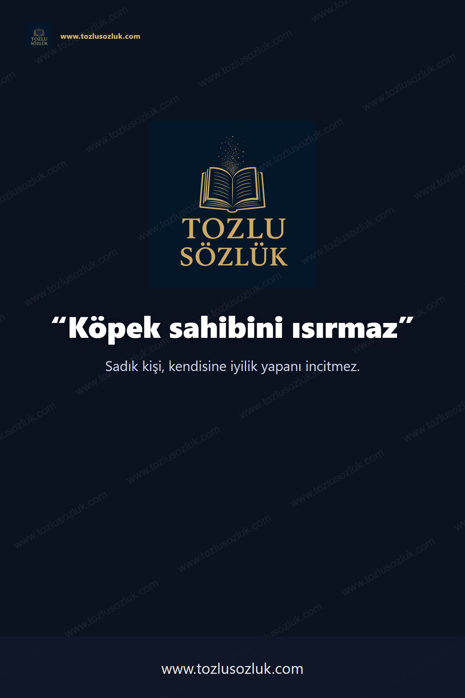 Köpek sahibini ısırmaz Pinterest görseli