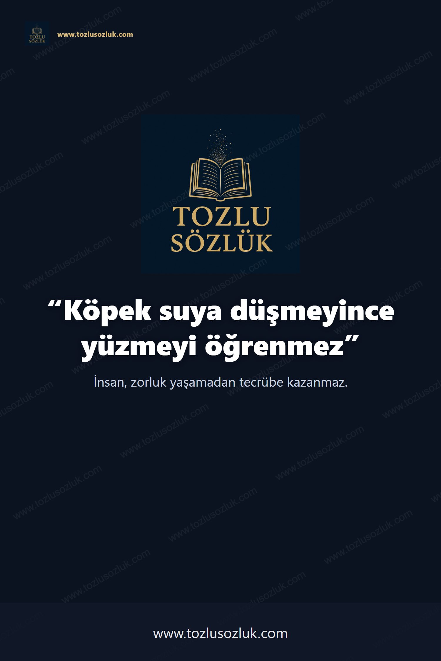 Köpek suya düşmeyince yüzmeyi öğrenmez Pinterest görseli