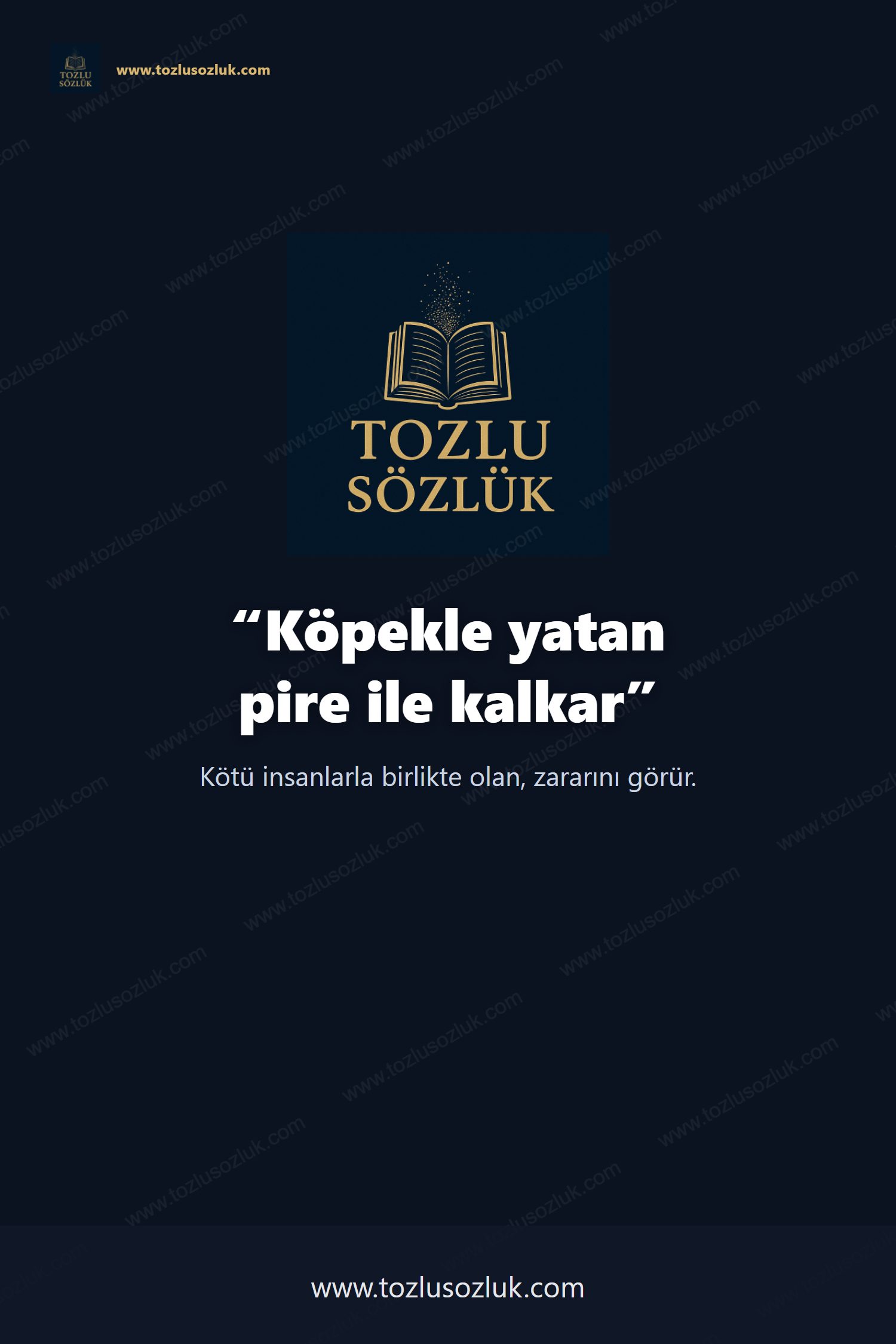 Köpekle yatan pire ile kalkar Pinterest görseli