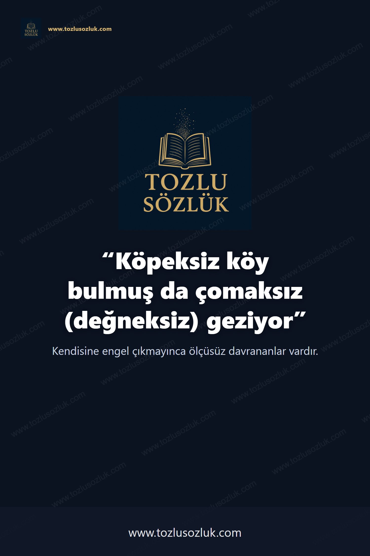 Köpeksiz köy bulmuş da çomaksız (değneksiz) geziyor Pinterest görseli