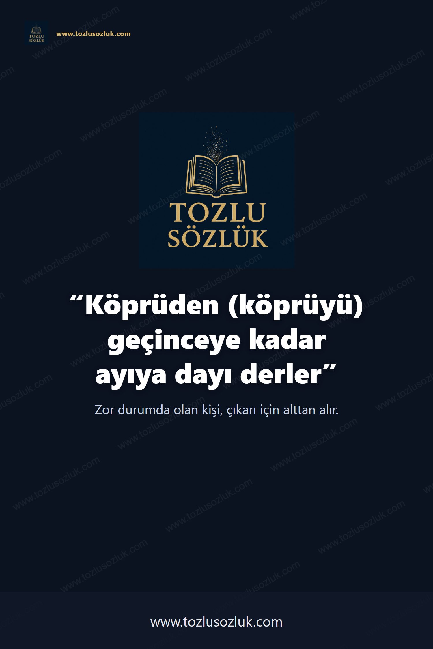 Köprüden (köprüyü) geçinceye kadar ayıya dayı derler Pinterest görseli