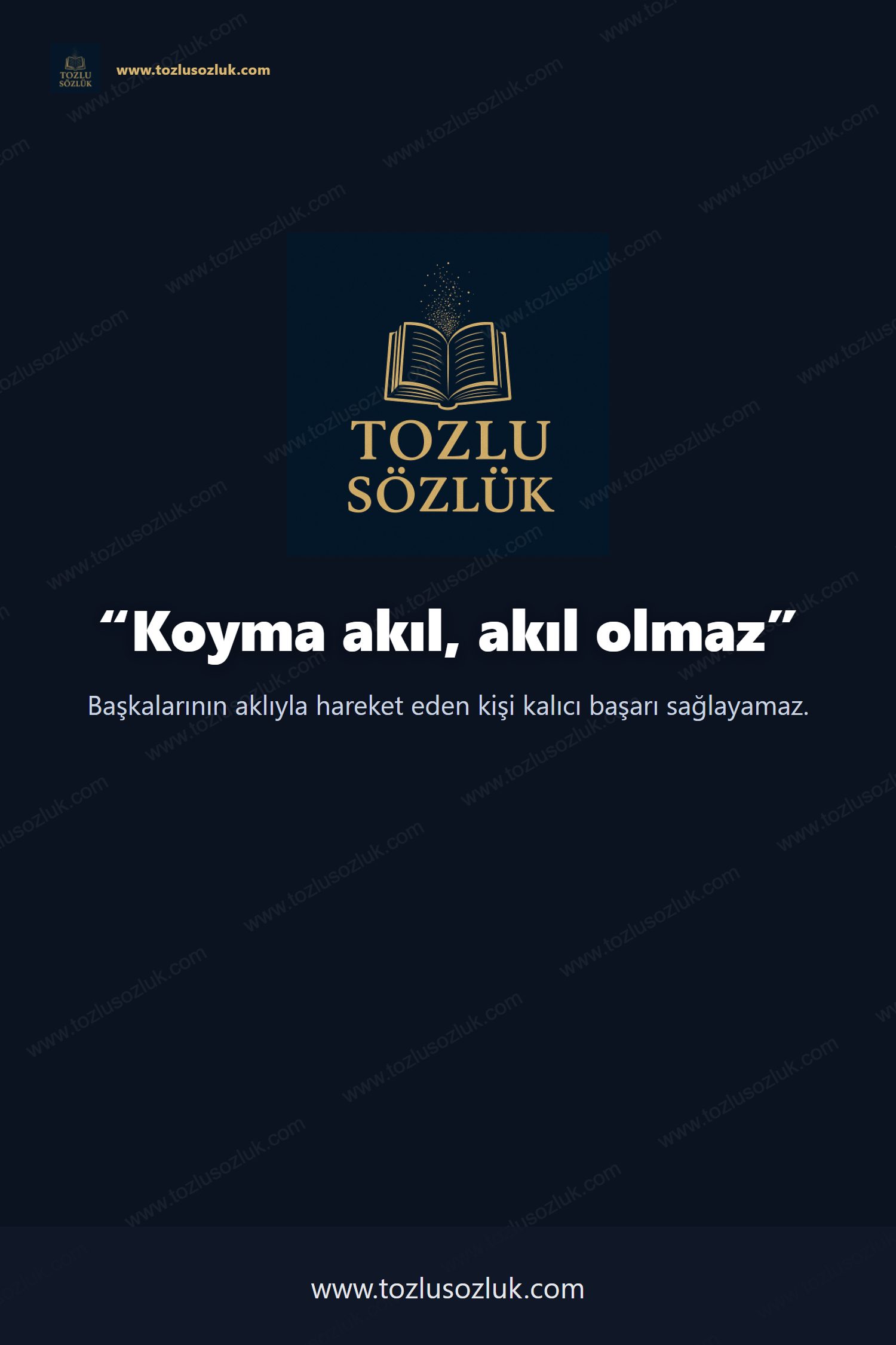 Koyma akıl, akıl olmaz Pinterest görseli