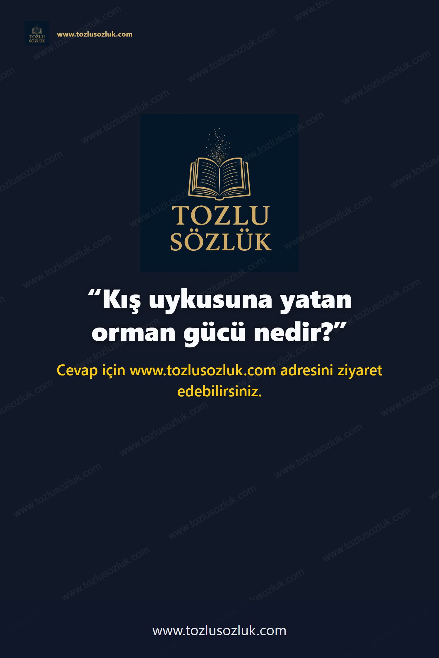Kış uykusuna yatan orman gücü nedir? Pinterest görseli