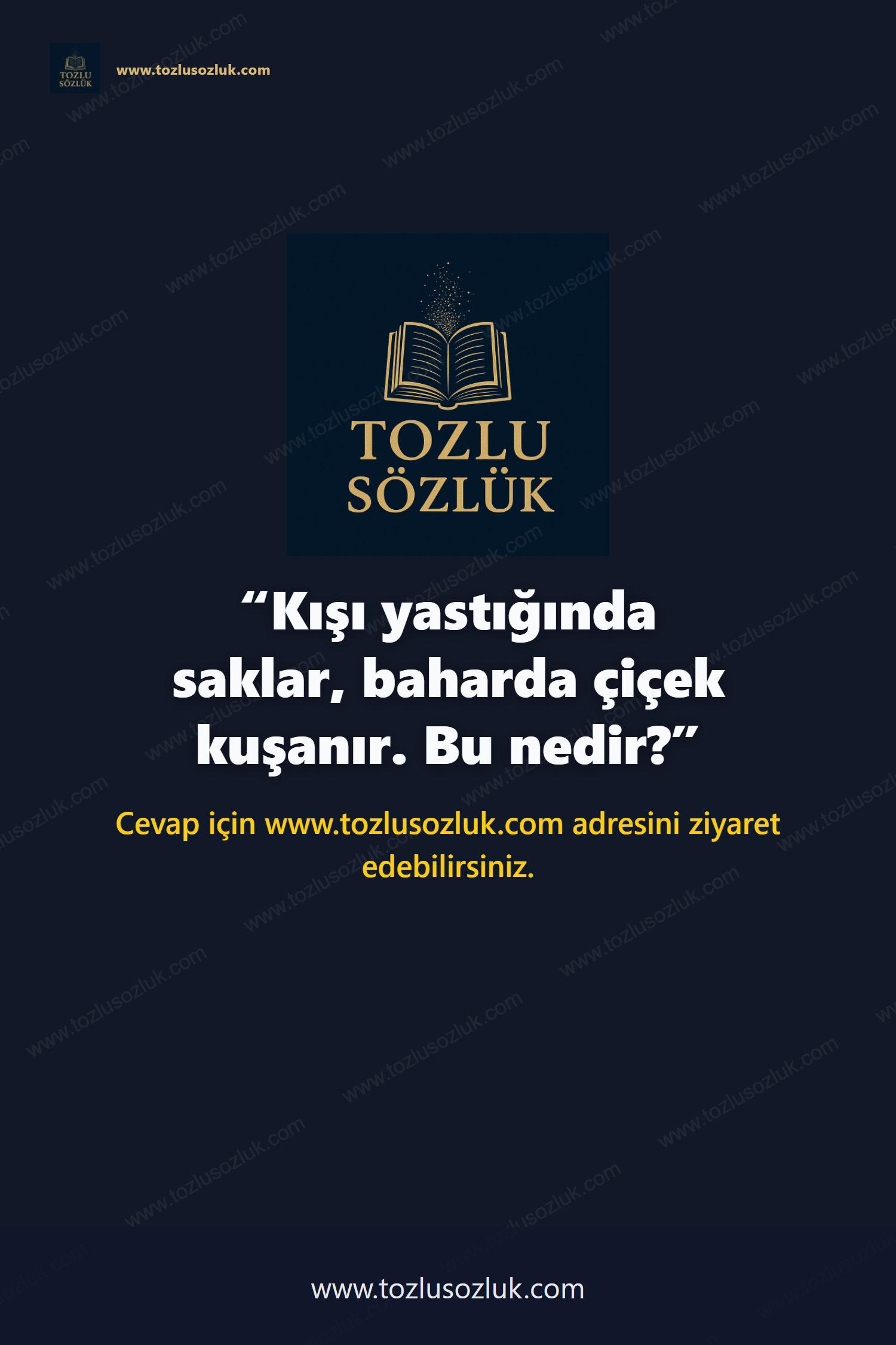 Kışı yastığında saklar, baharda çiçek kuşanır. Bu nedir? Pinterest görseli