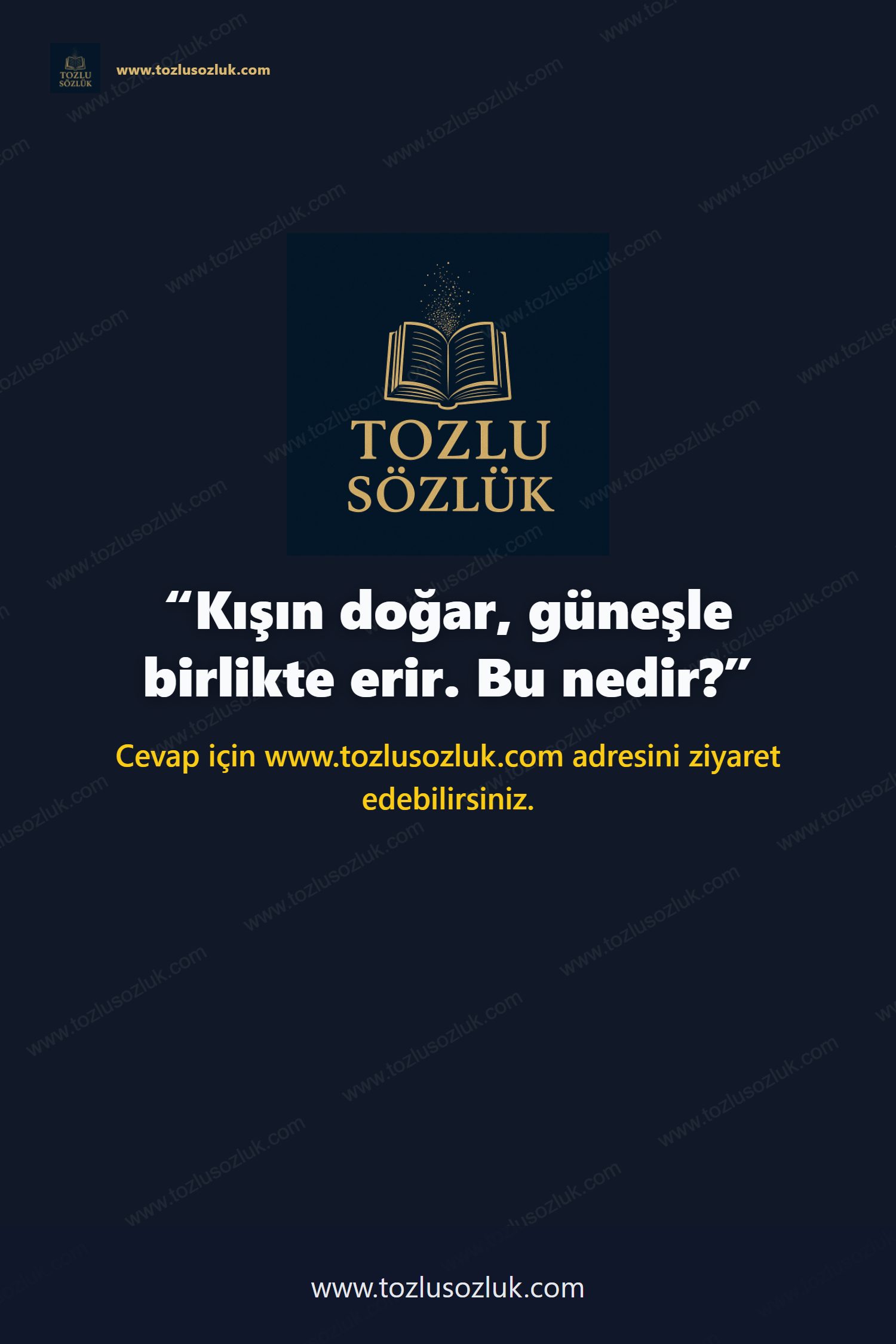 Kışın doğar, güneşle birlikte erir. Bu nedir? Pinterest görseli