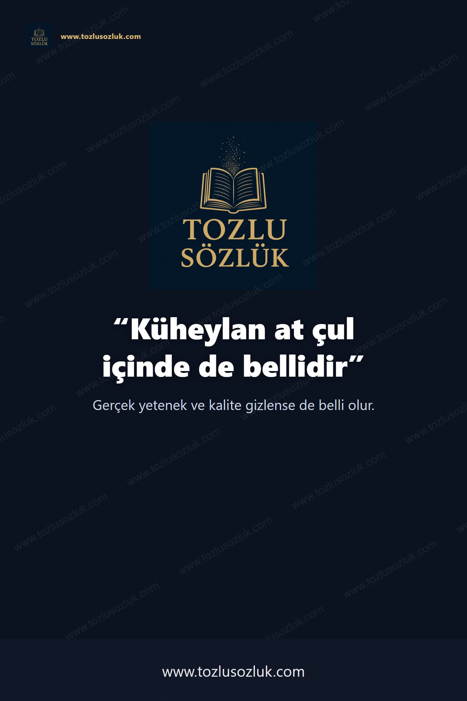 Küheylan at çul içinde de bellidir Pinterest görseli