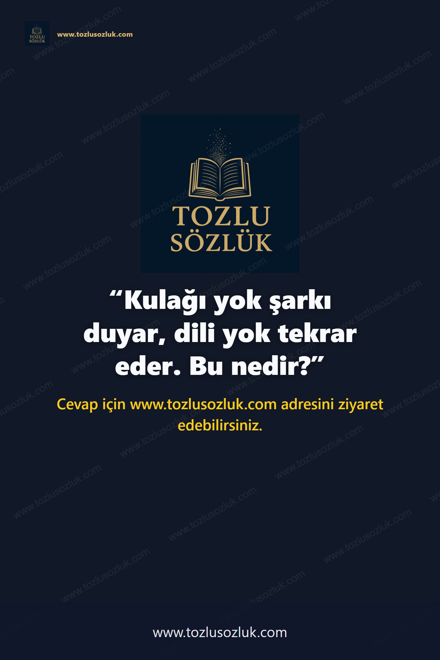 Kulağı yok şarkı duyar, dili yok tekrar eder. Bu nedir? Pinterest görseli