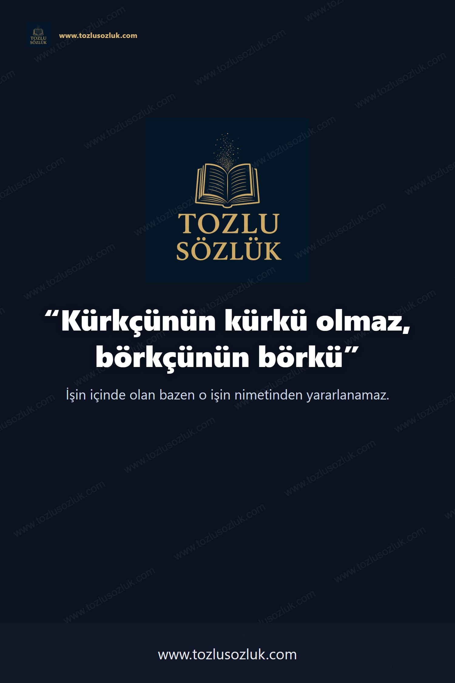 Kürkçünün kürkü olmaz, börkçünün börkü Pinterest görseli