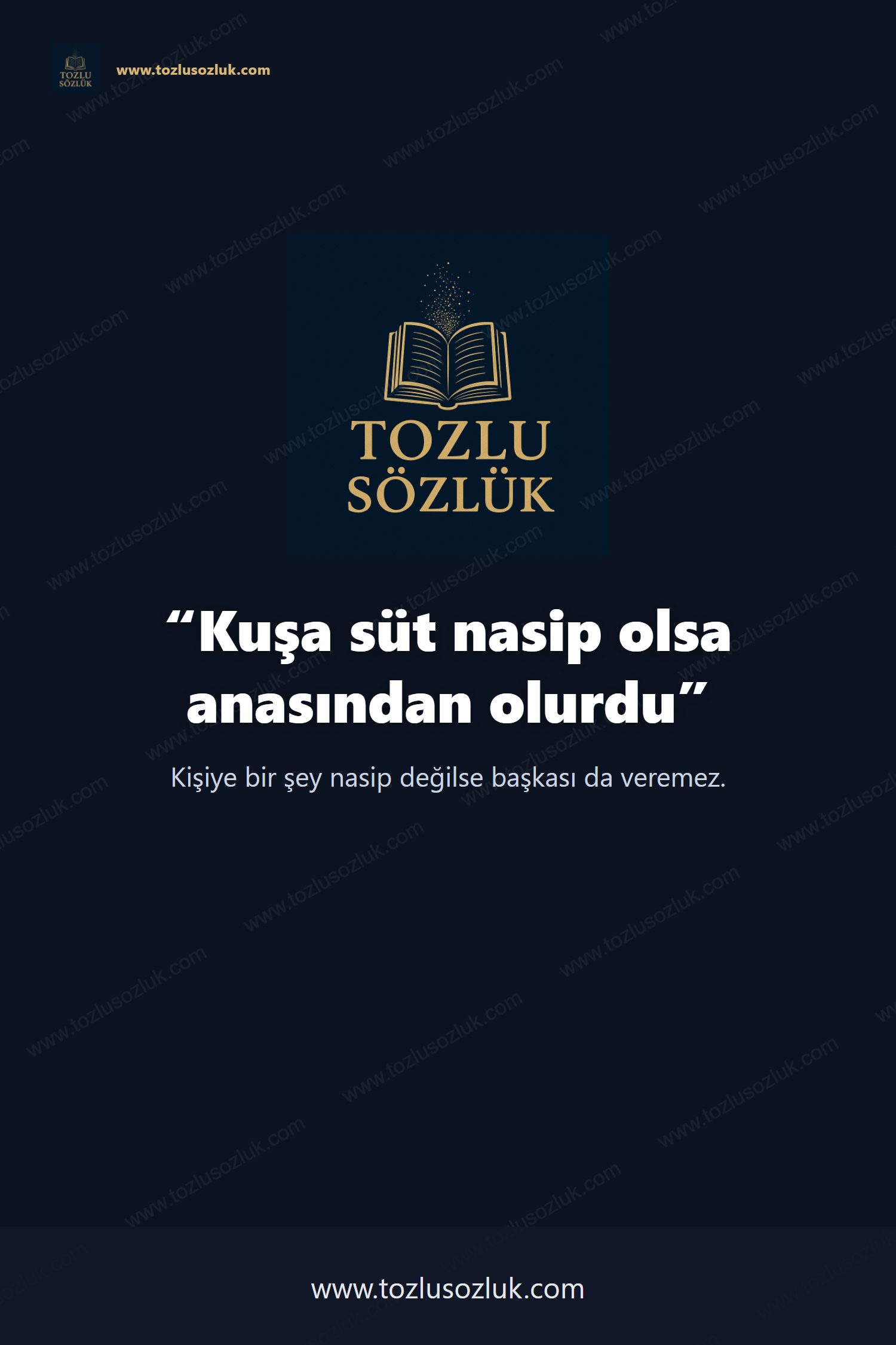 Kuşa süt nasip olsa anasından olurdu Pinterest görseli