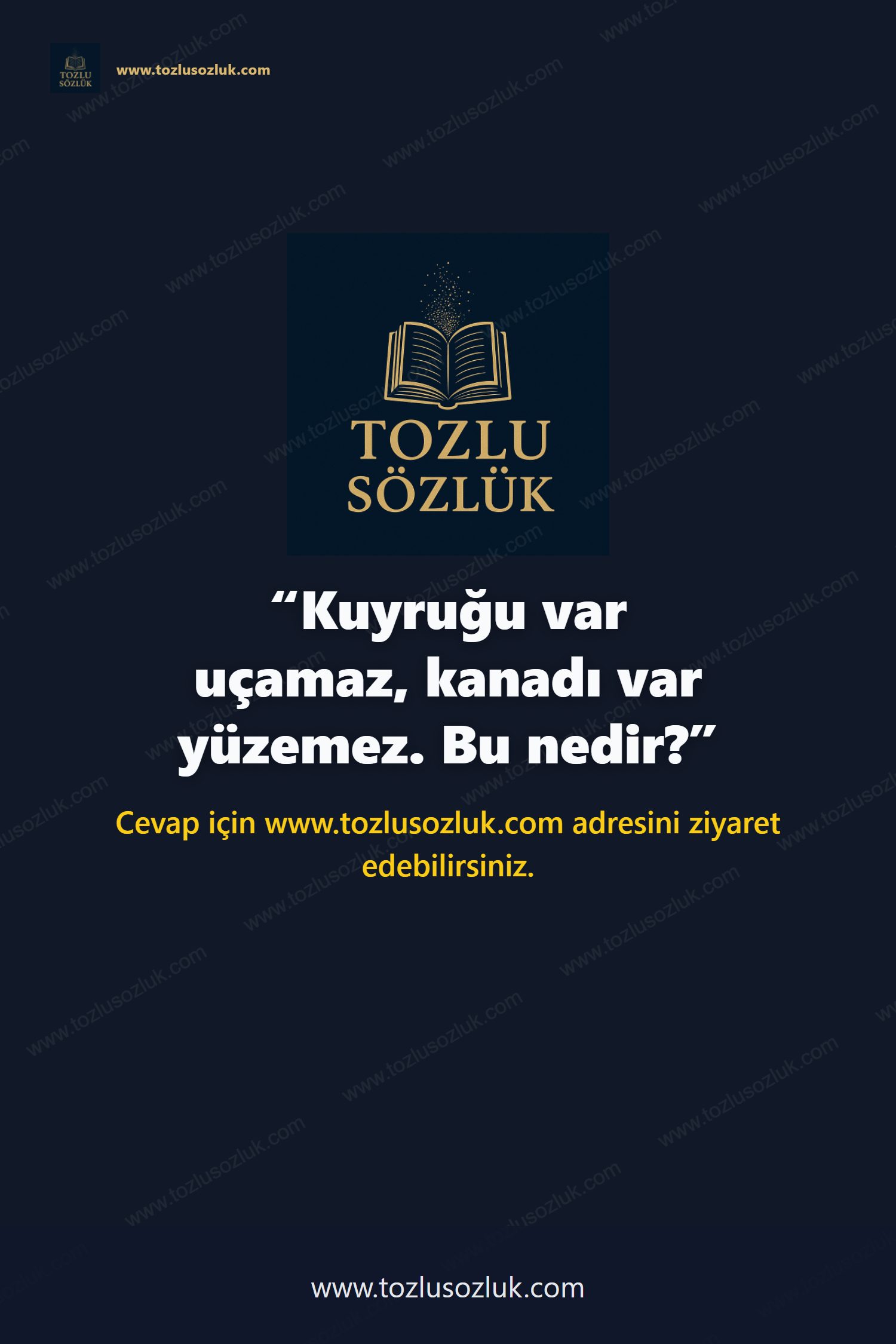 Kuyruğu var uçamaz, kanadı var yüzemez. Bu nedir? Pinterest görseli
