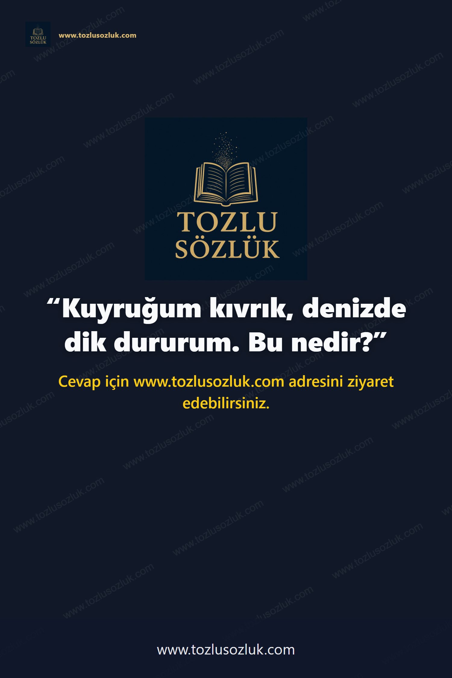Kuyruğum kıvrık, denizde dik dururum. Bu nedir? Pinterest görseli