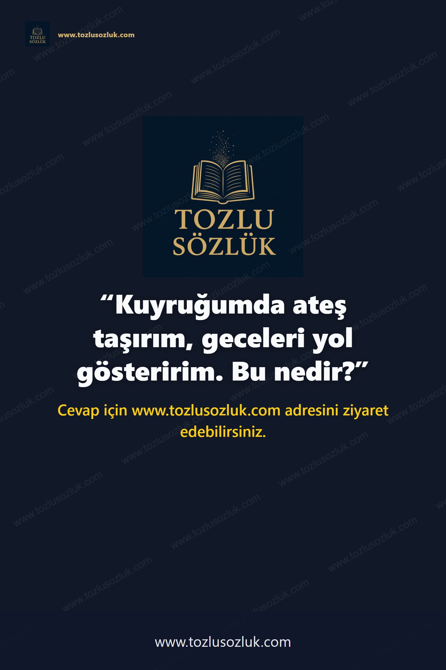 Kuyruğumda ateş taşırım, geceleri yol gösteririm. Bu nedir? Pinterest görseli