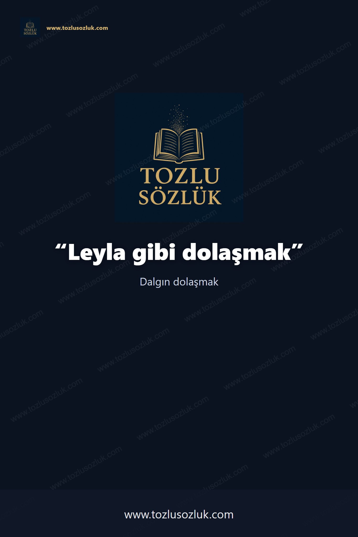 Leyla gibi dolaşmak Pinterest görseli