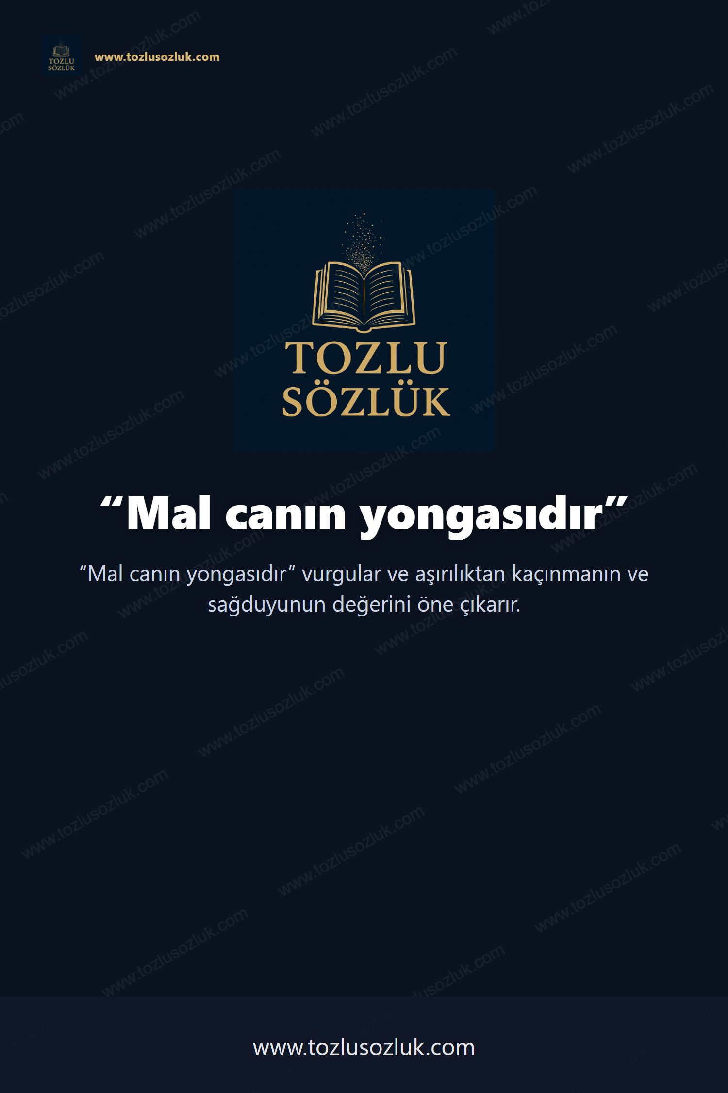 Mal canın yongasıdır Pinterest görseli