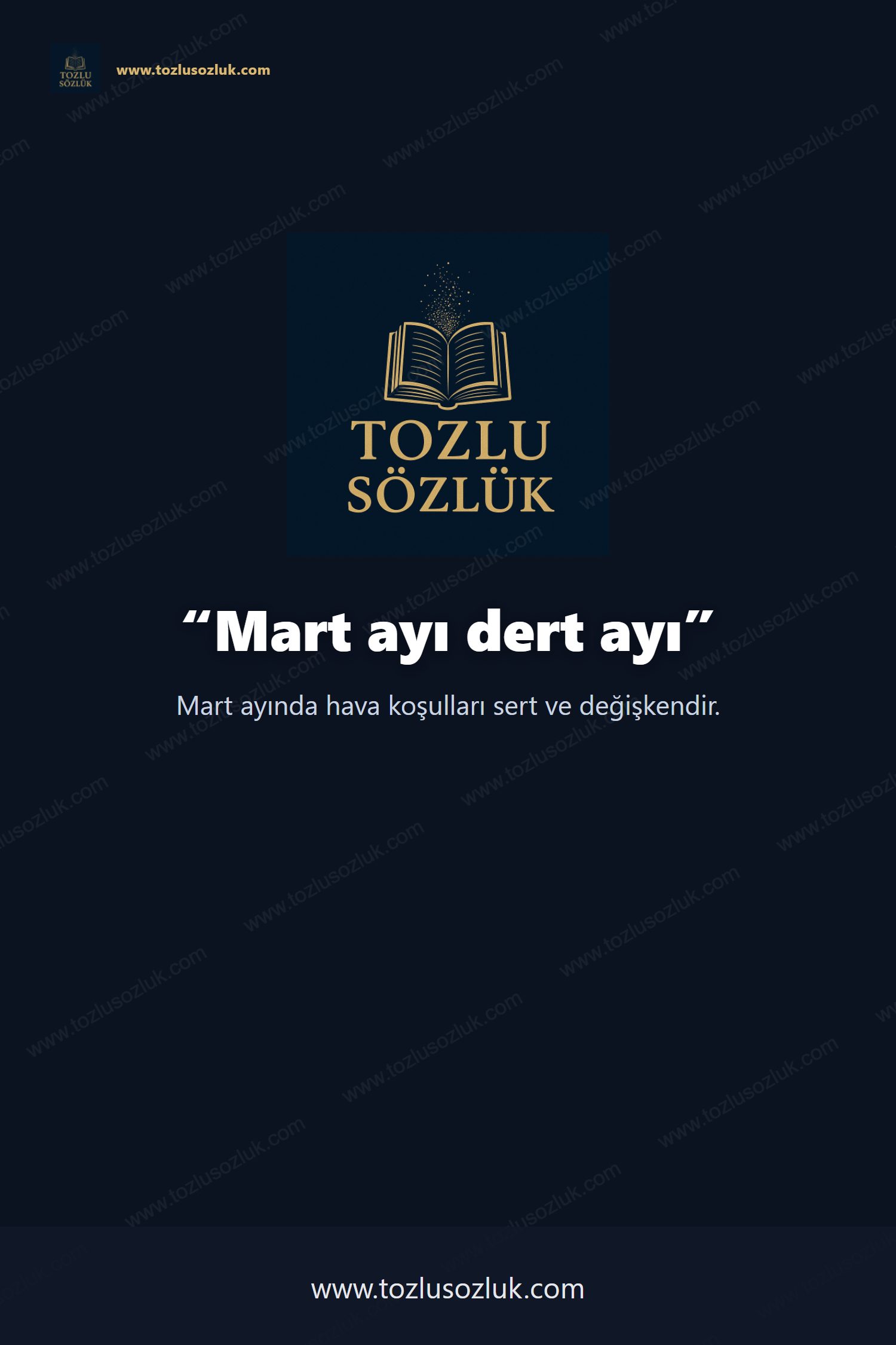 Mart ayı dert ayı Pinterest görseli