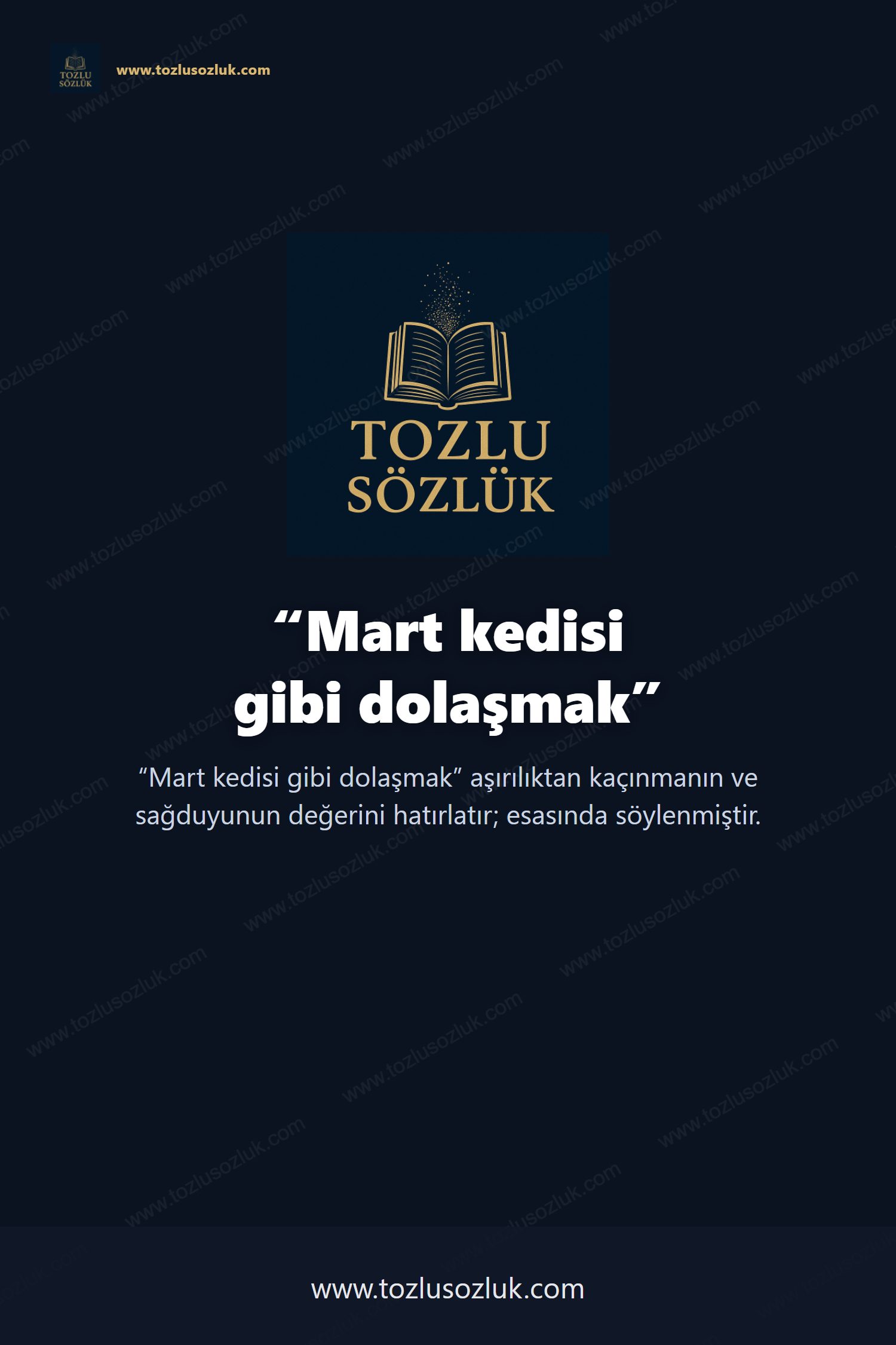 Mart kedisi gibi dolaşmak Pinterest görseli