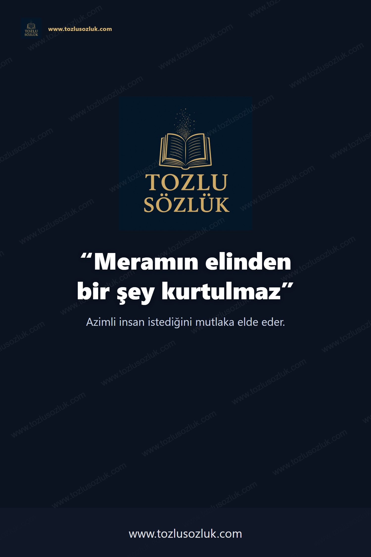 Meramın elinden bir şey kurtulmaz Pinterest görseli