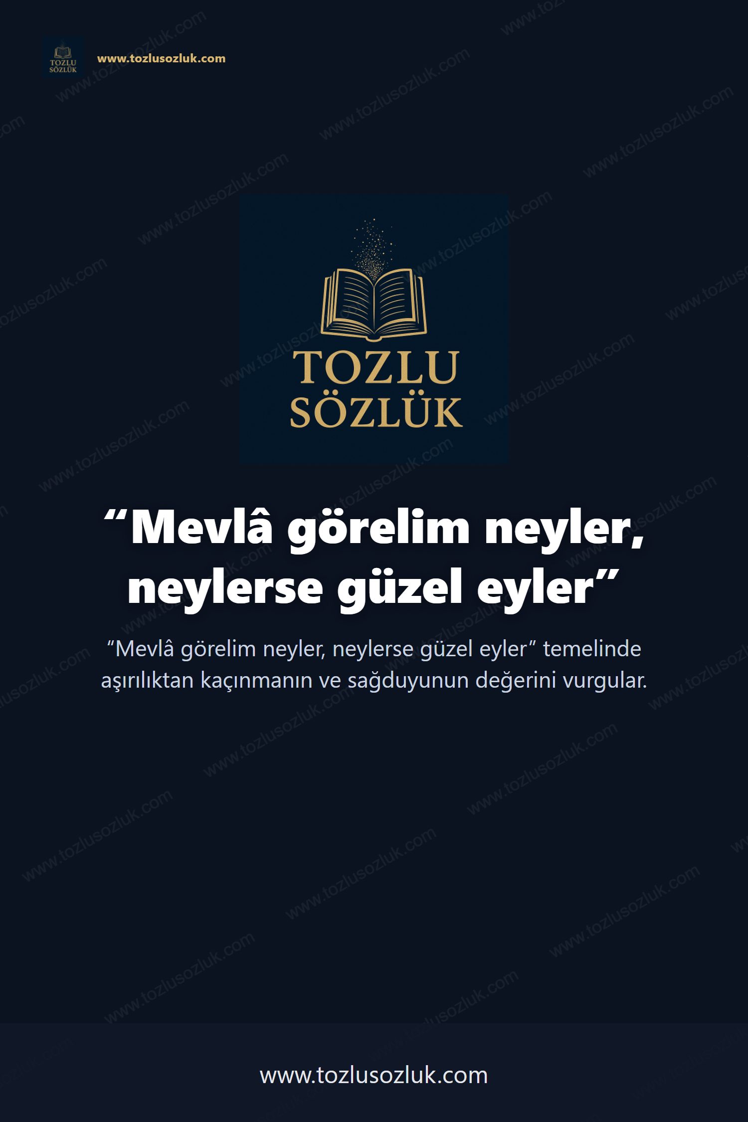 Mevlâ görelim neyler, neylerse güzel eyler Pinterest görseli