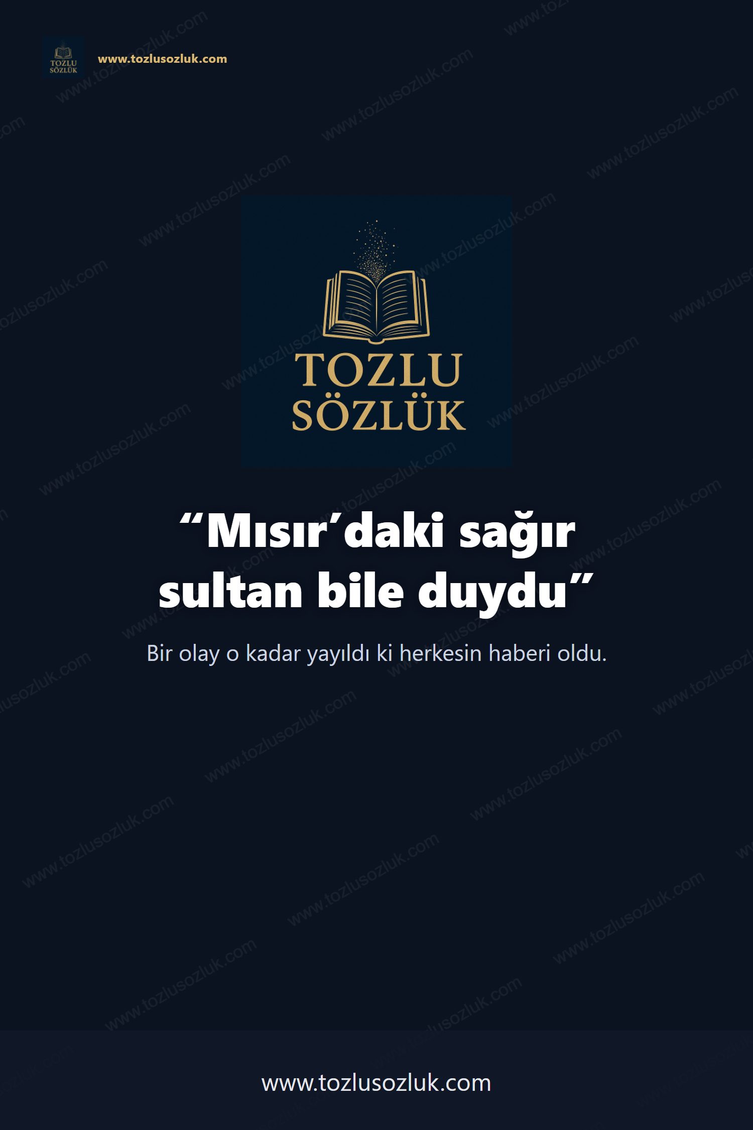 Mısır’daki sağır sultan bile duydu Pinterest görseli