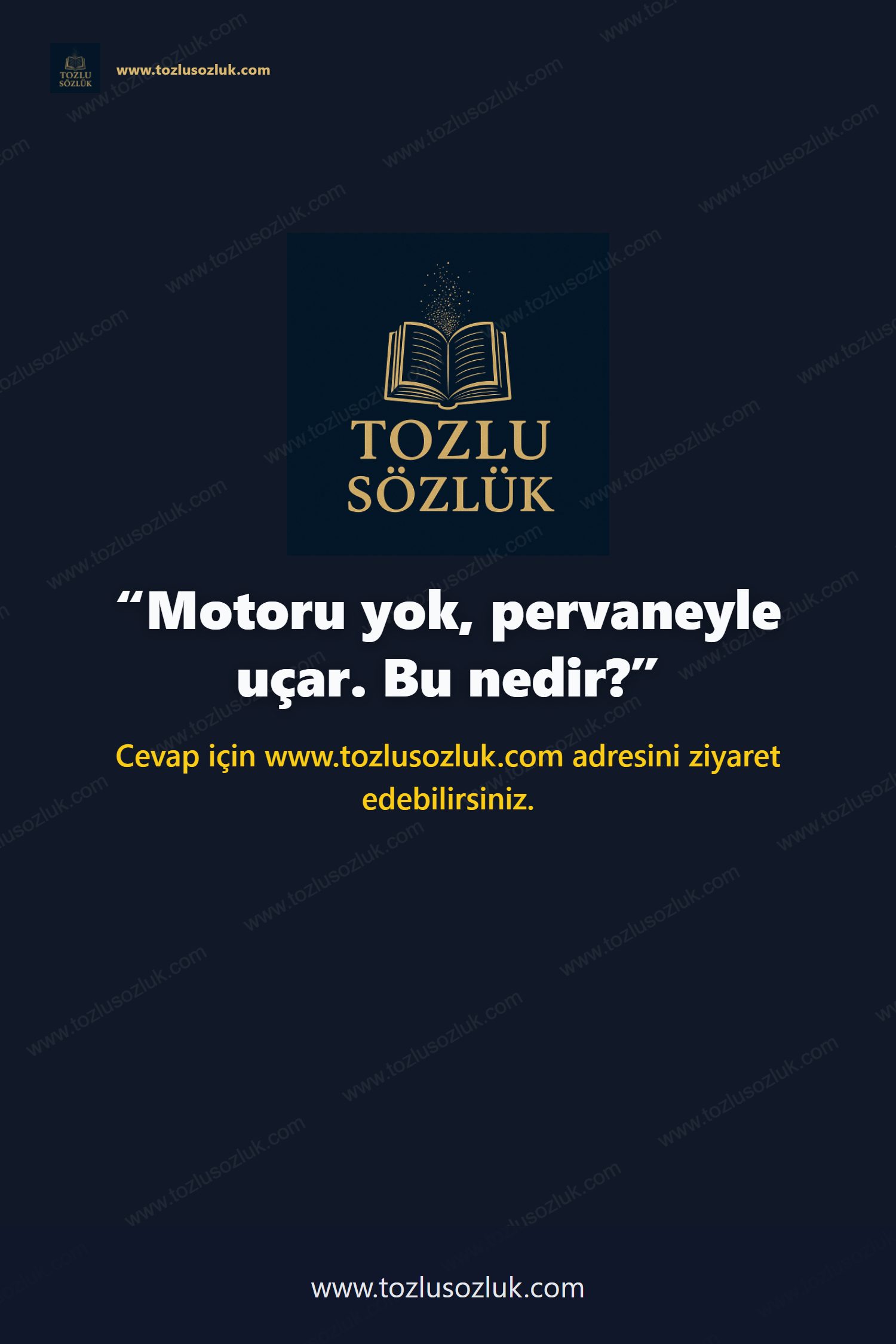 Motoru yok, pervaneyle uçar. Bu nedir? Pinterest görseli