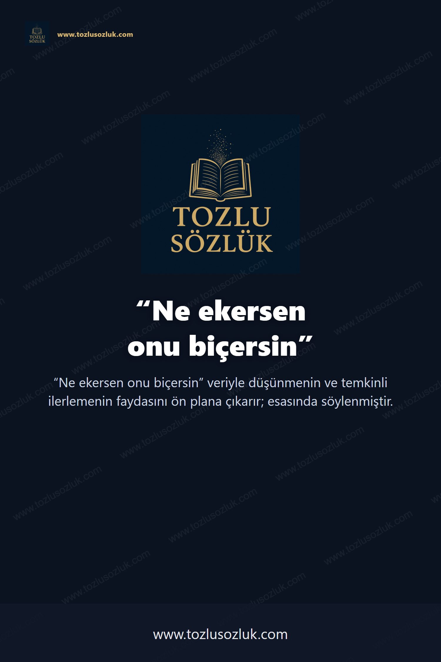 Ne ekersen onu biçersin Pinterest görseli