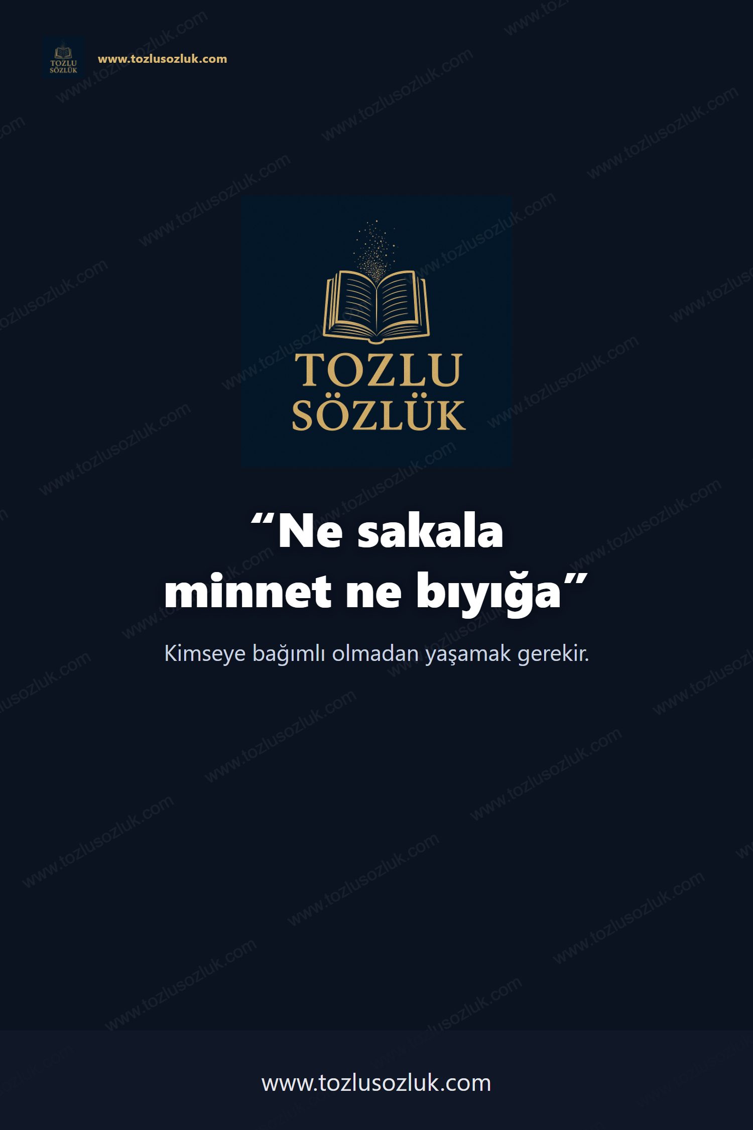 Ne sakala minnet ne bıyığa Pinterest görseli