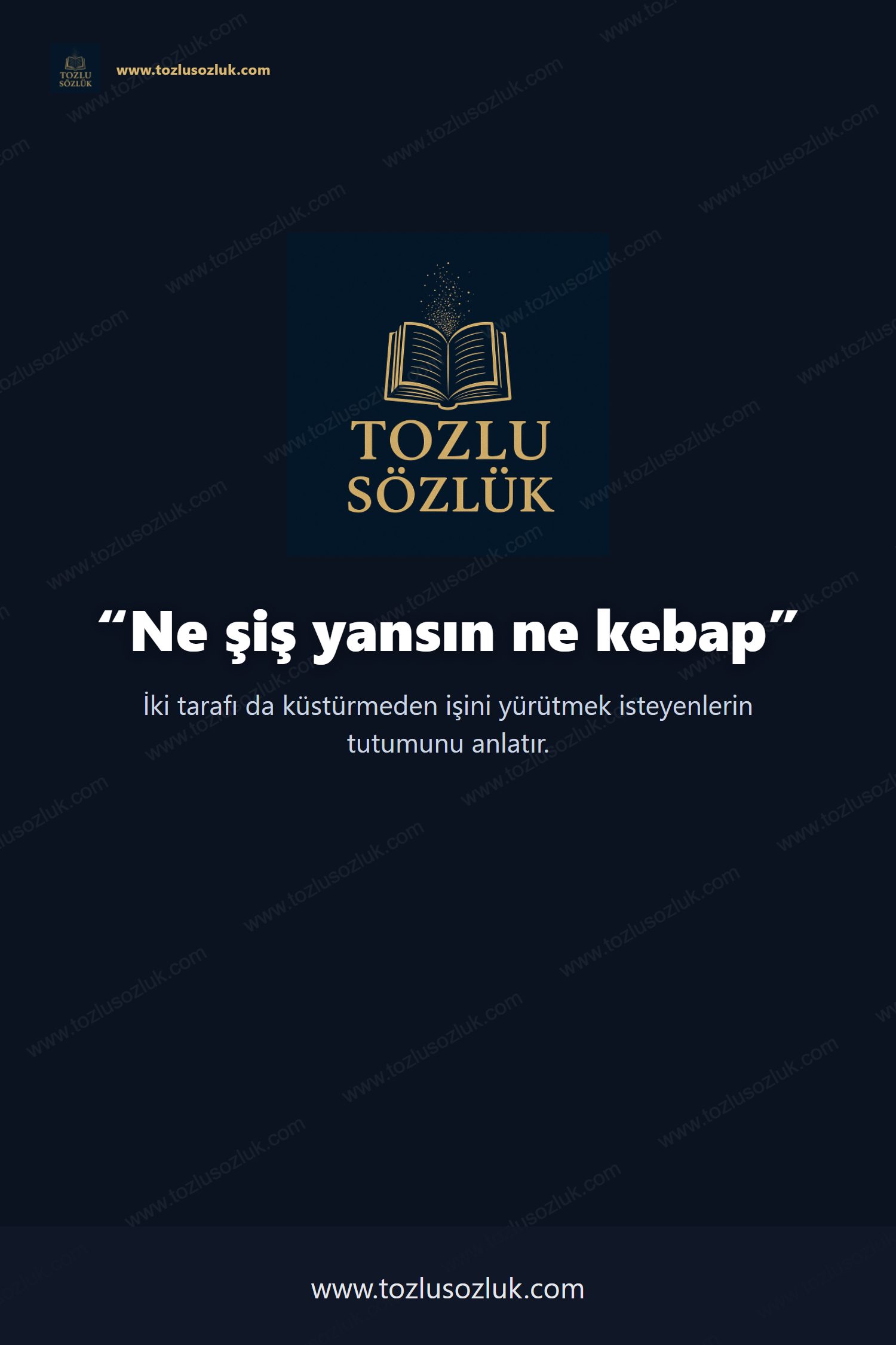 Ne şiş yansın ne kebap Pinterest görseli