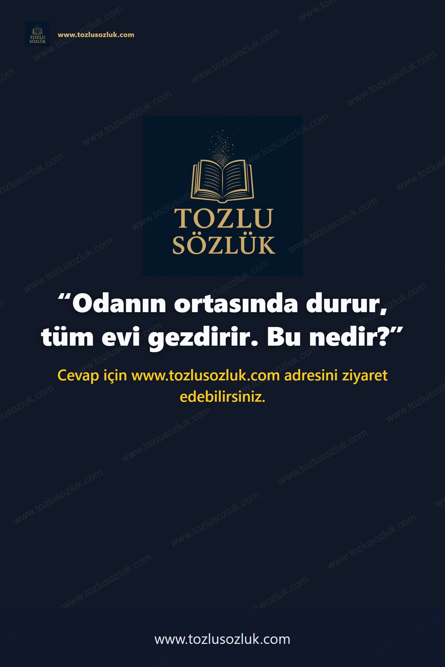Odanın ortasında durur, tüm evi gezdirir. Bu nedir? Pinterest görseli
