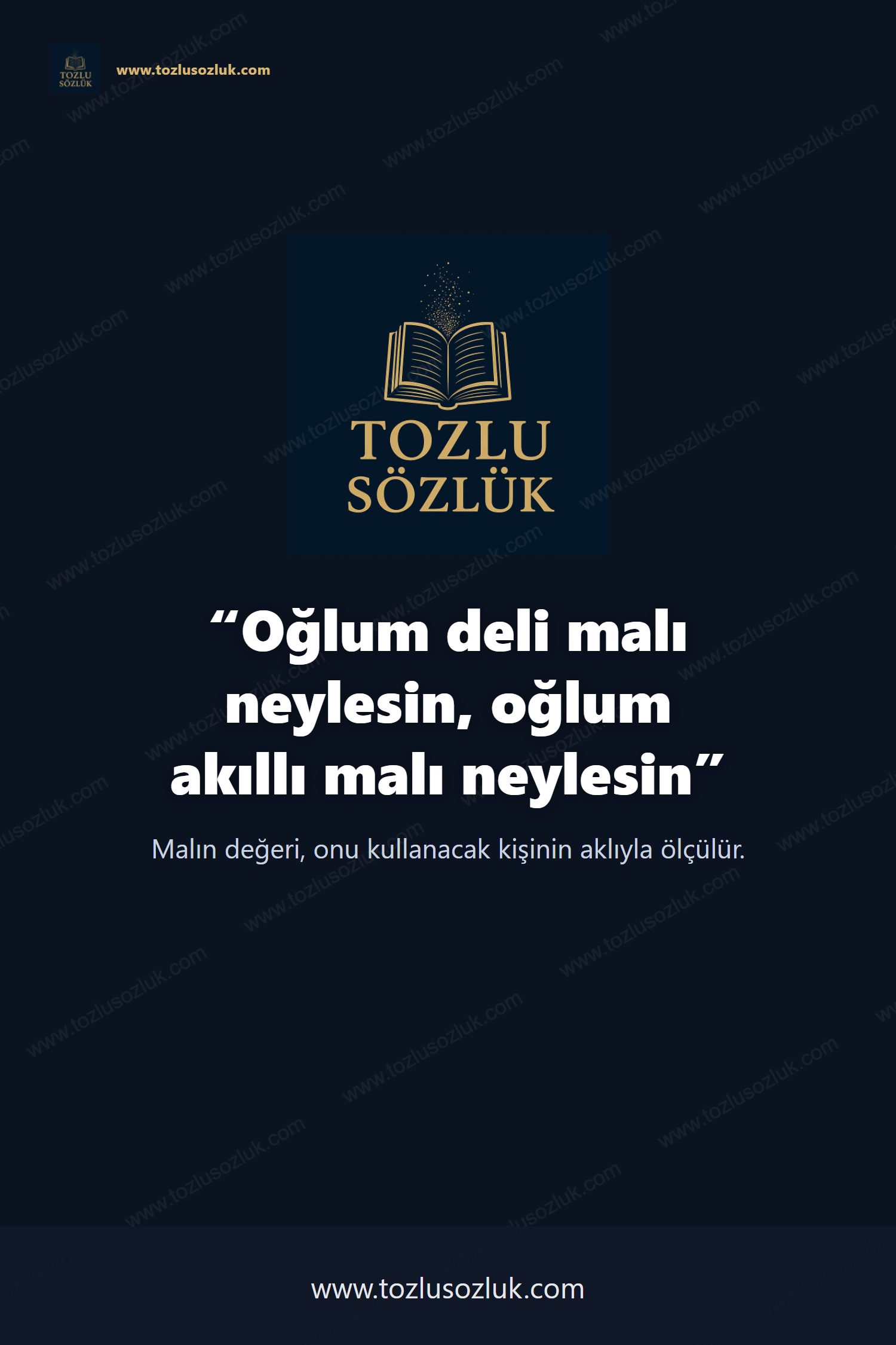 Oğlum deli malı neylesin, oğlum akıllı malı neylesin Pinterest görseli