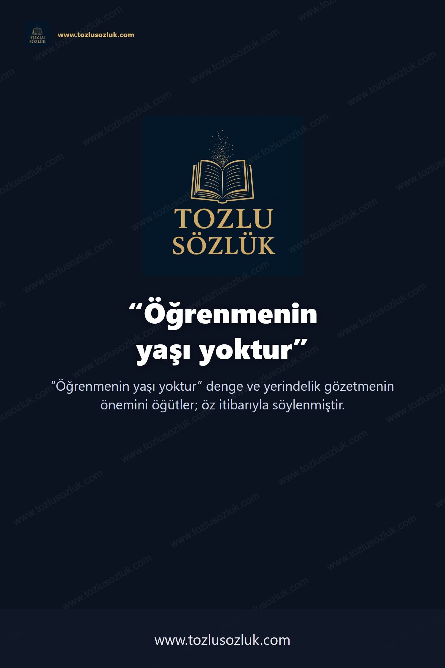 Öğrenmenin yaşı yoktur Pinterest görseli