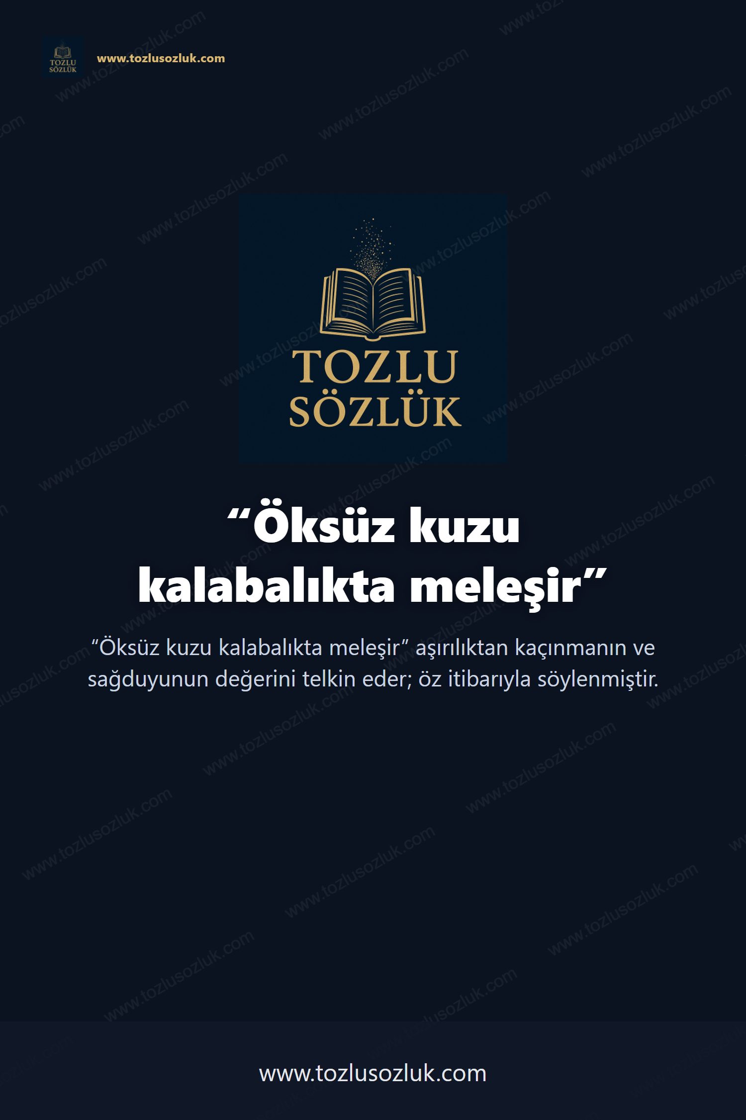 Öksüz kuzu kalabalıkta meleşir Pinterest görseli
