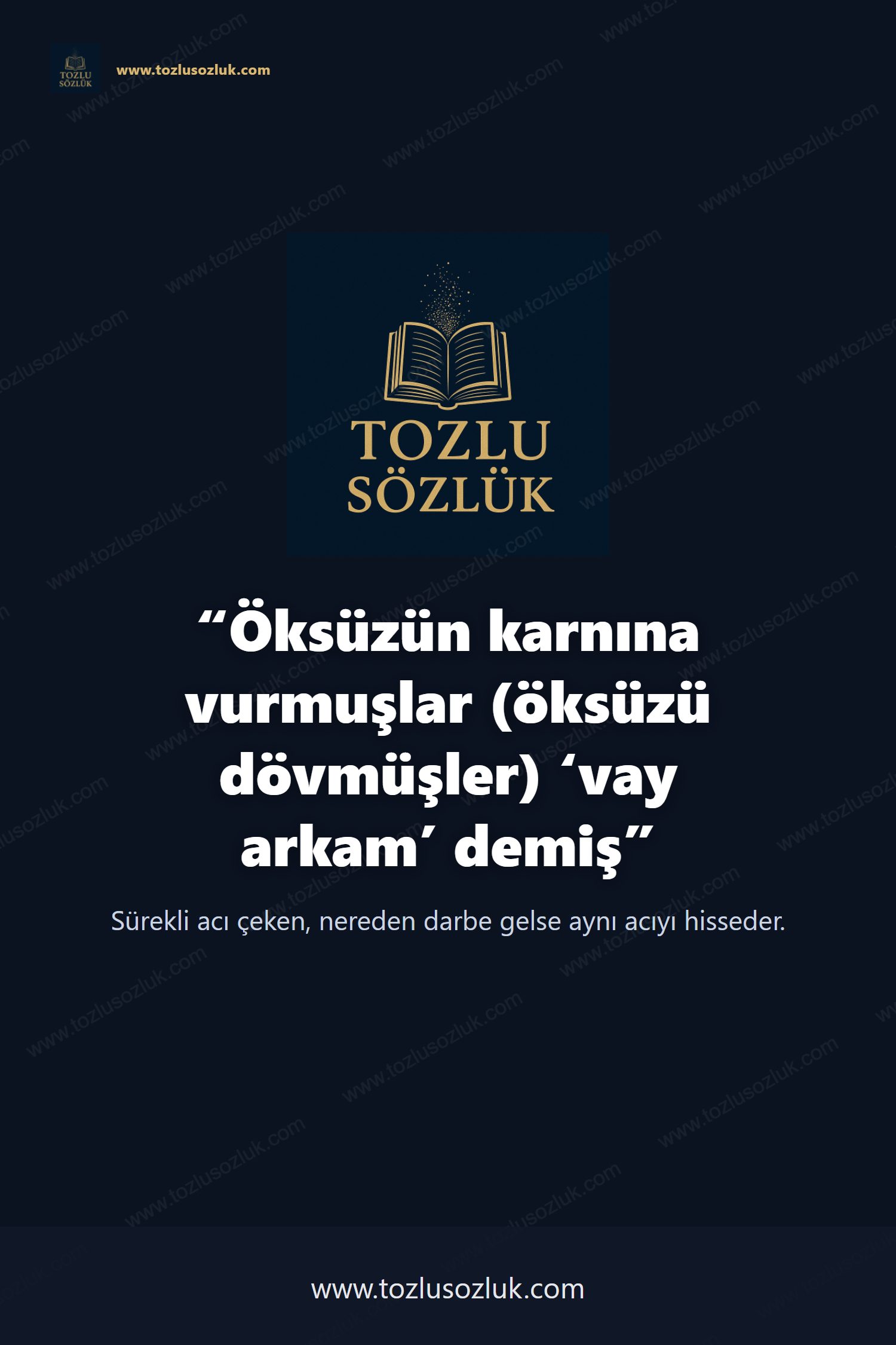 Öksüzün karnına vurmuşlar (öksüzü dövmüşler) ‘vay arkam’ demiş Pinterest görseli