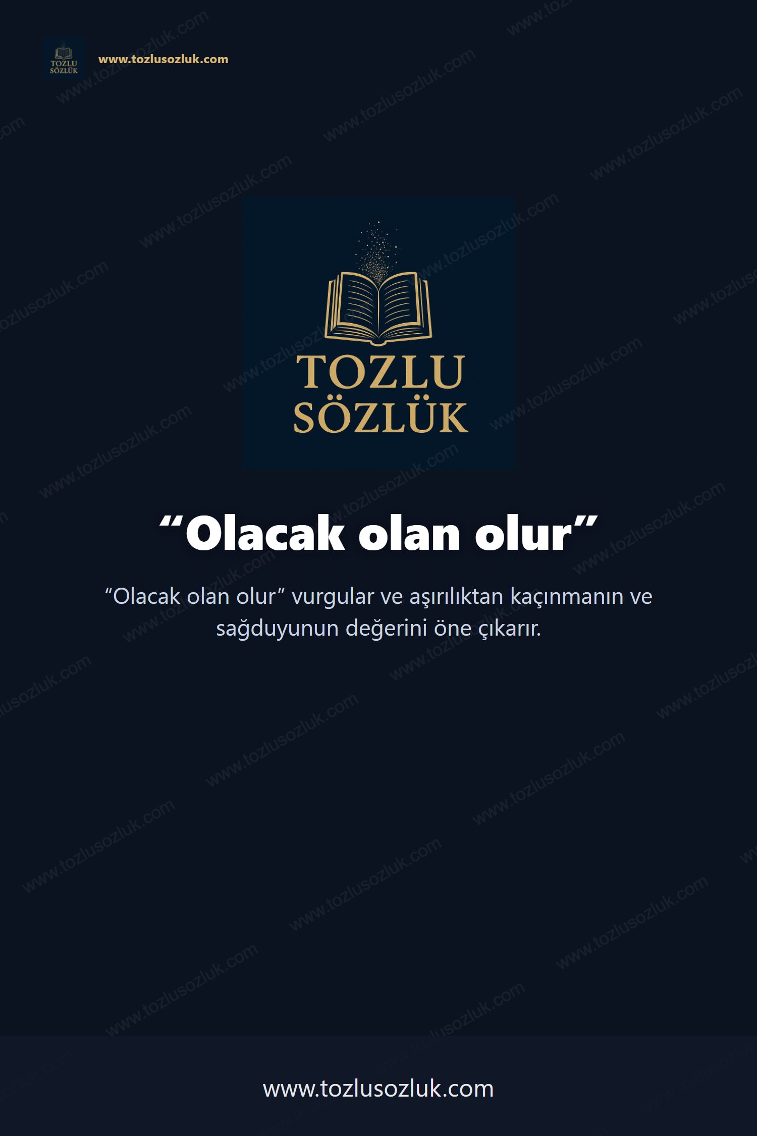 Olacak olan olur Pinterest görseli
