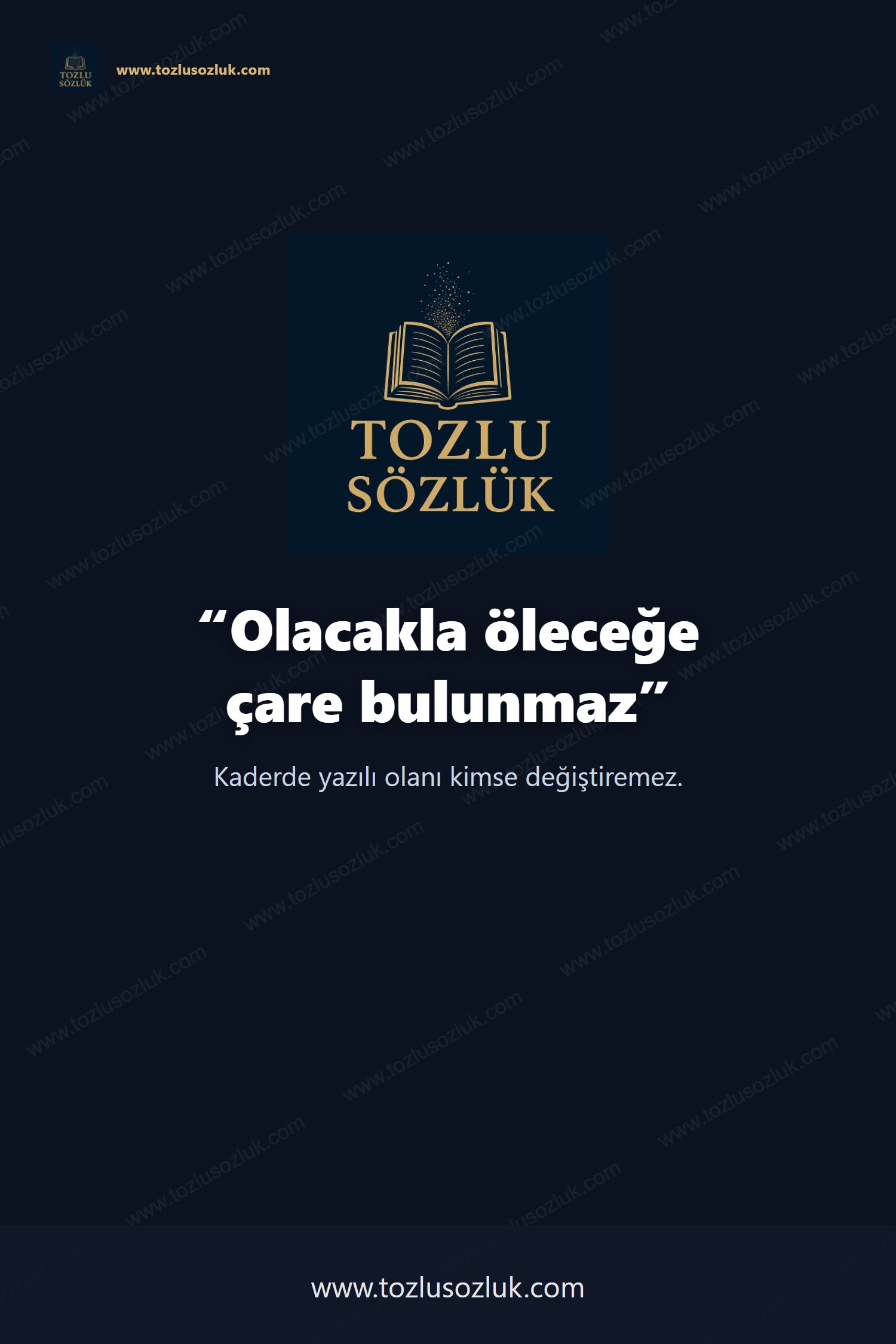 Olacakla öleceğe çare bulunmaz Pinterest görseli