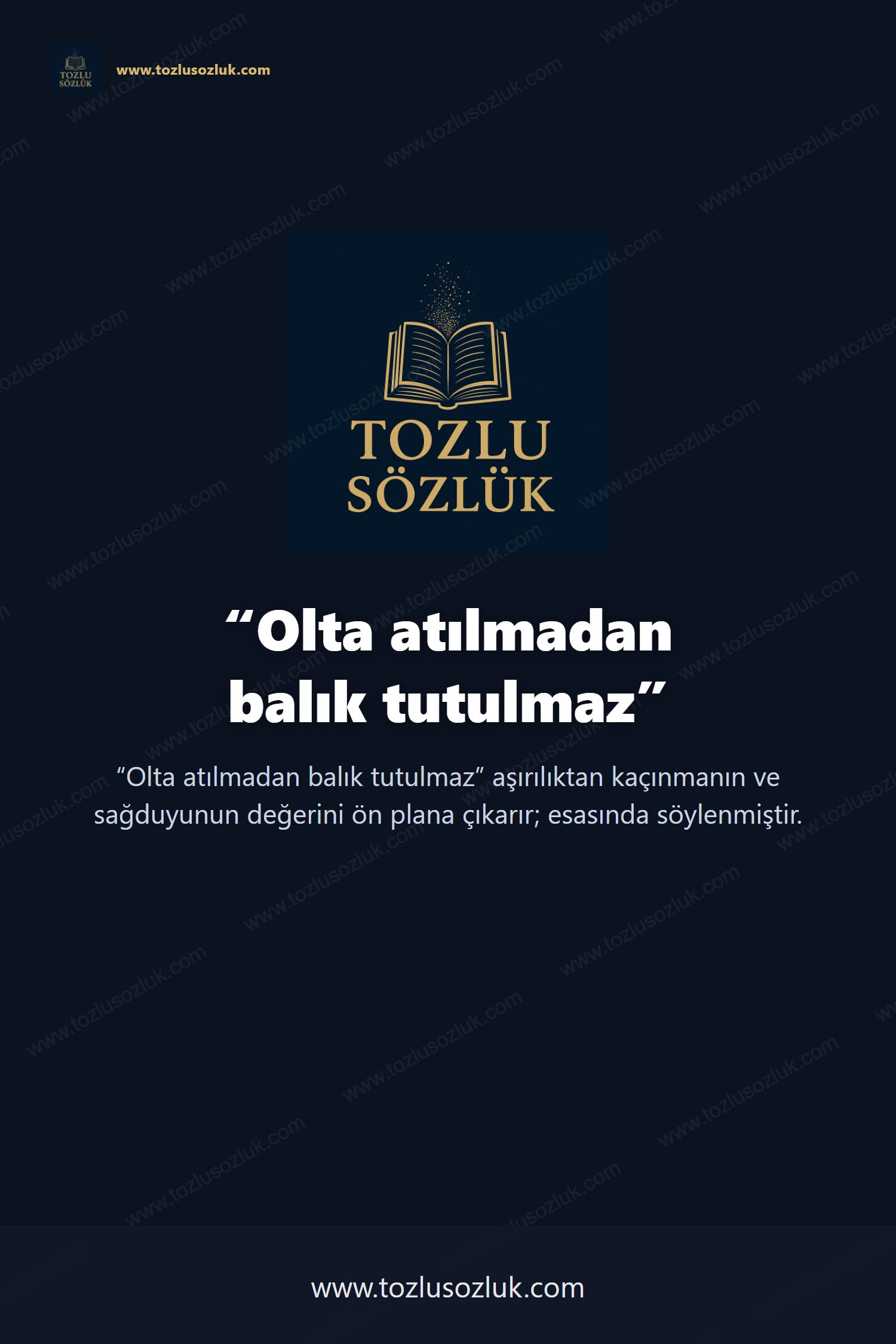 Olta atılmadan balık tutulmaz Pinterest görseli
