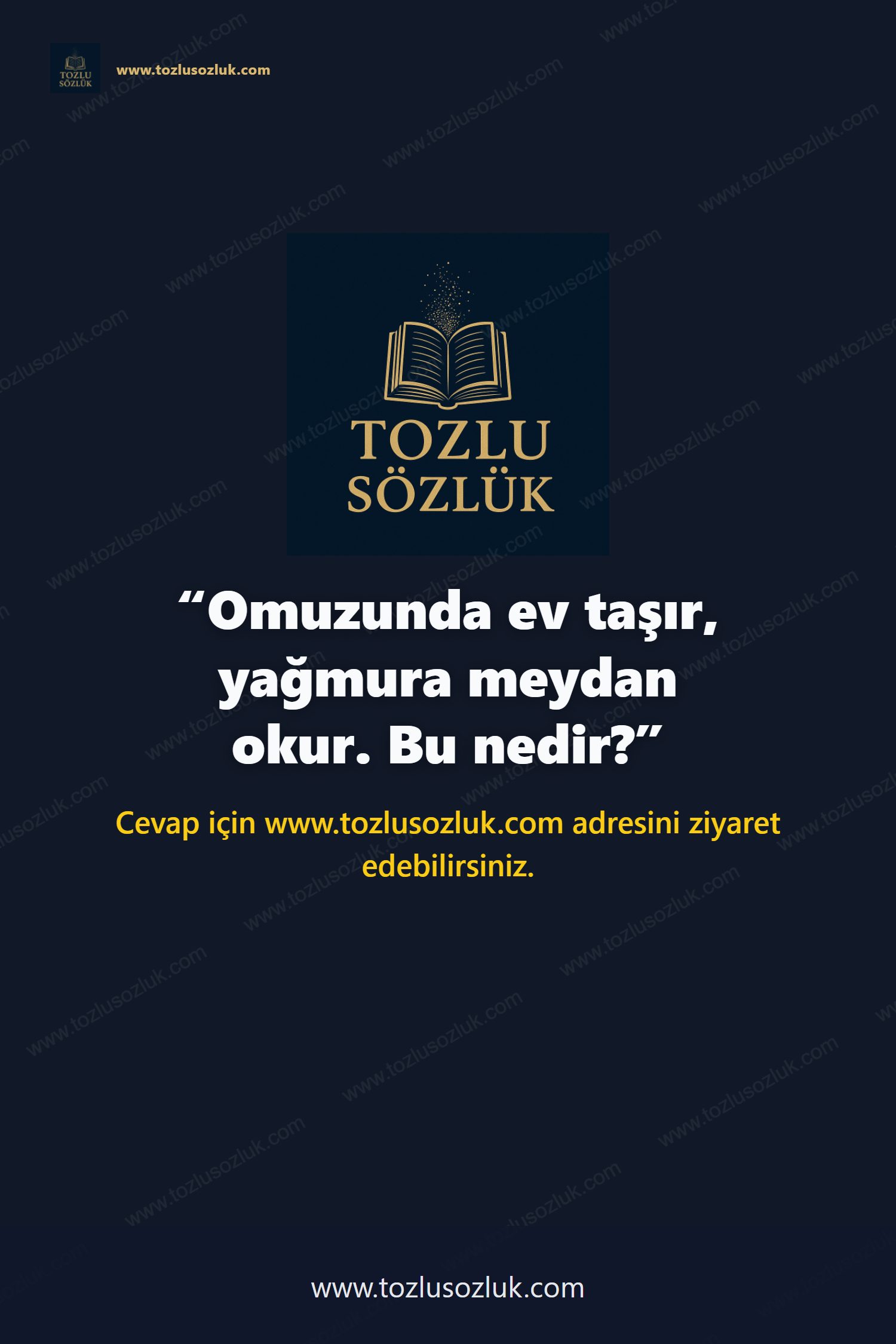 Omuzunda ev taşır, yağmura meydan okur. Bu nedir? Pinterest görseli