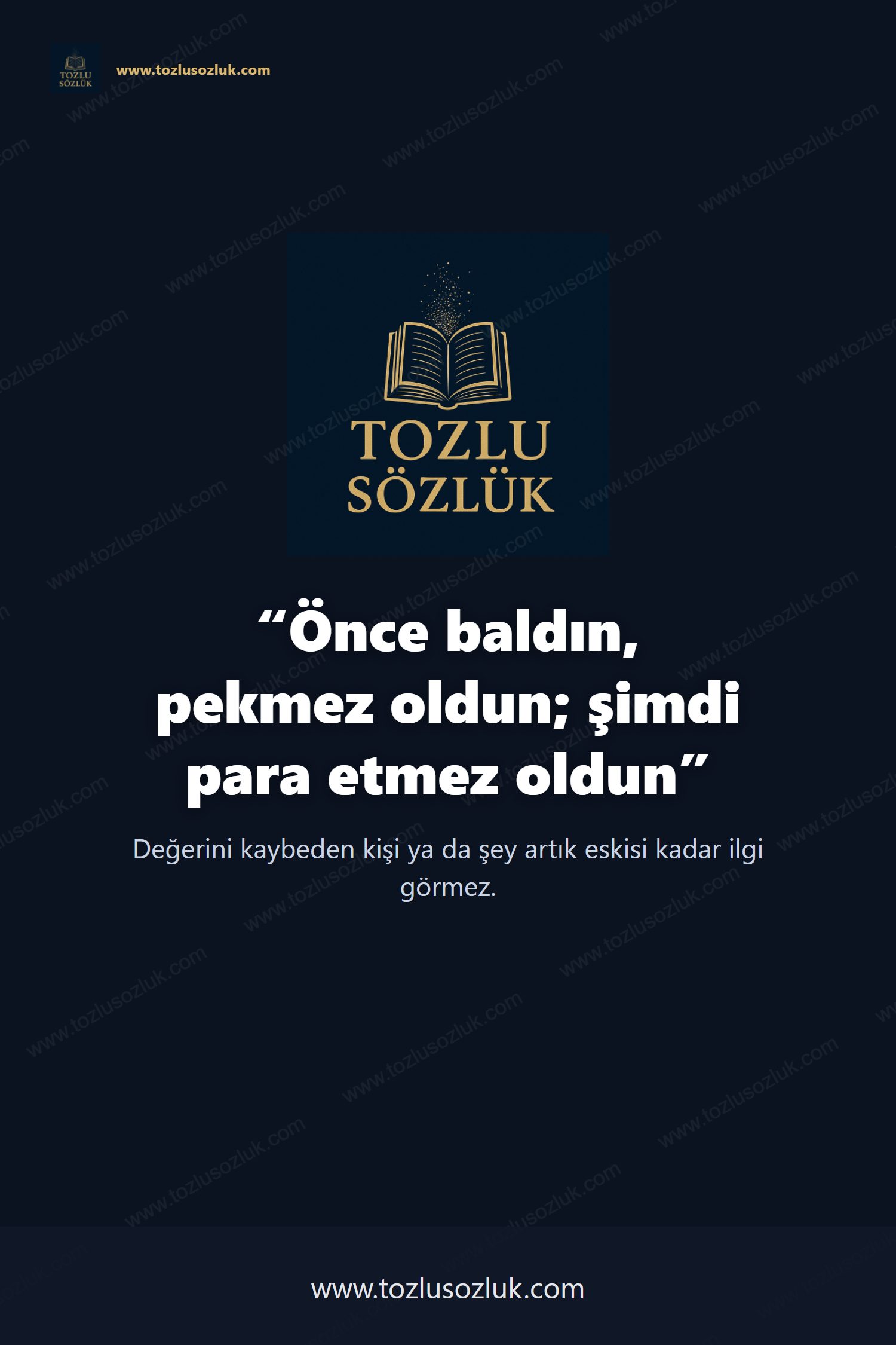 Önce baldın, pekmez oldun; şimdi para etmez oldun Pinterest görseli