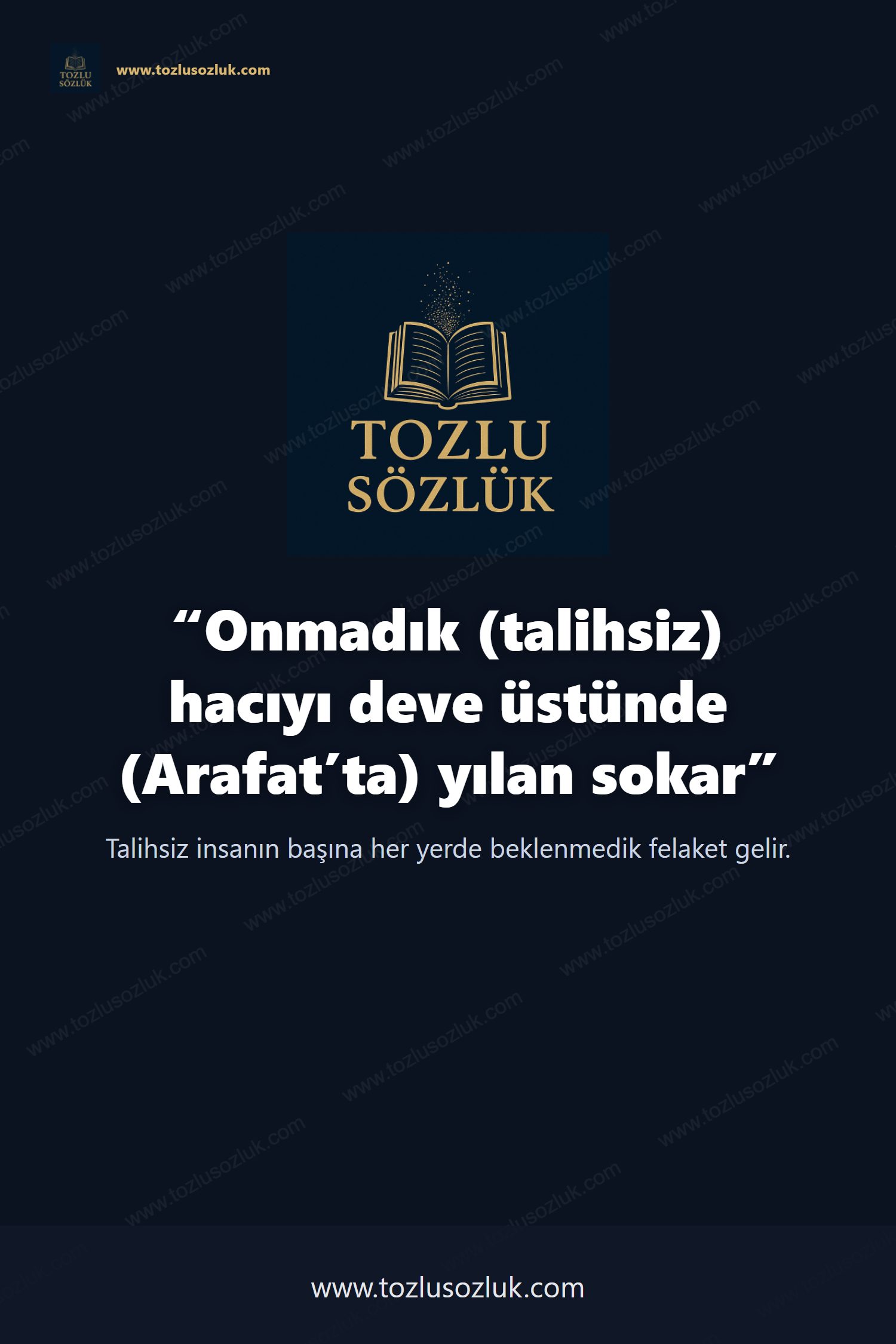 Onmadık (talihsiz) hacıyı deve üstünde (Arafat’ta) yılan sokar Pinterest görseli