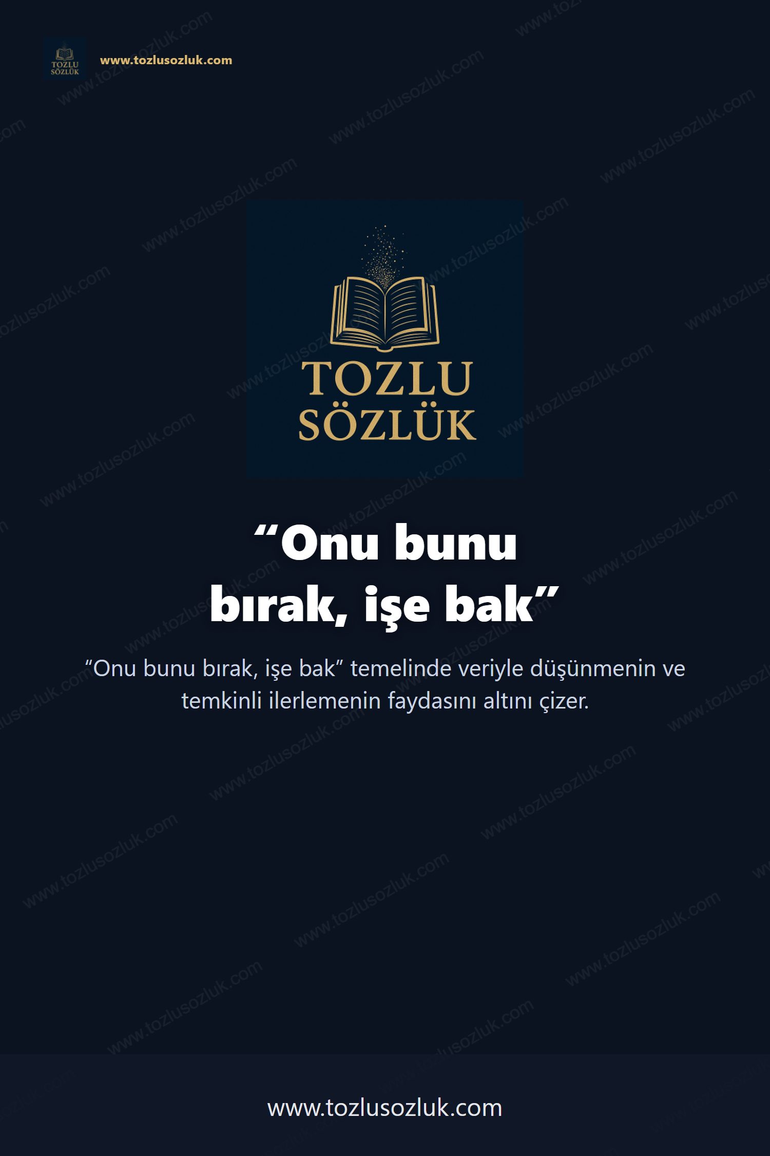 Onu bunu bırak, işe bak Pinterest görseli