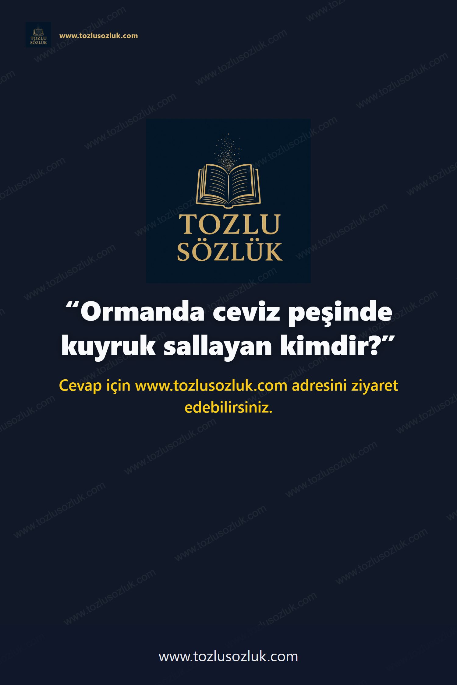 Ormanda ceviz peşinde kuyruk sallayan kimdir? Pinterest görseli