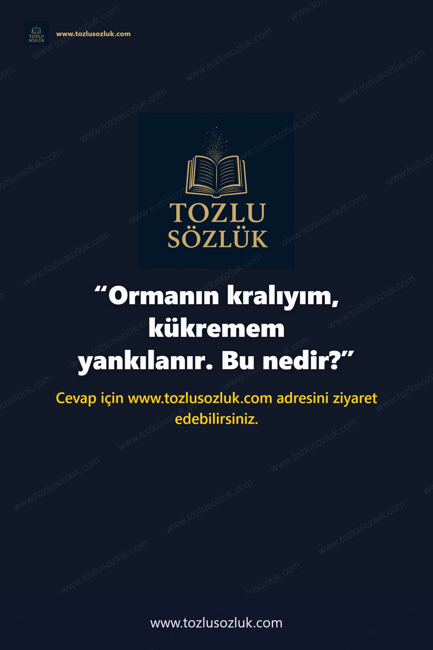 Ormanın kralıyım, kükremem yankılanır. Bu nedir? Pinterest görseli