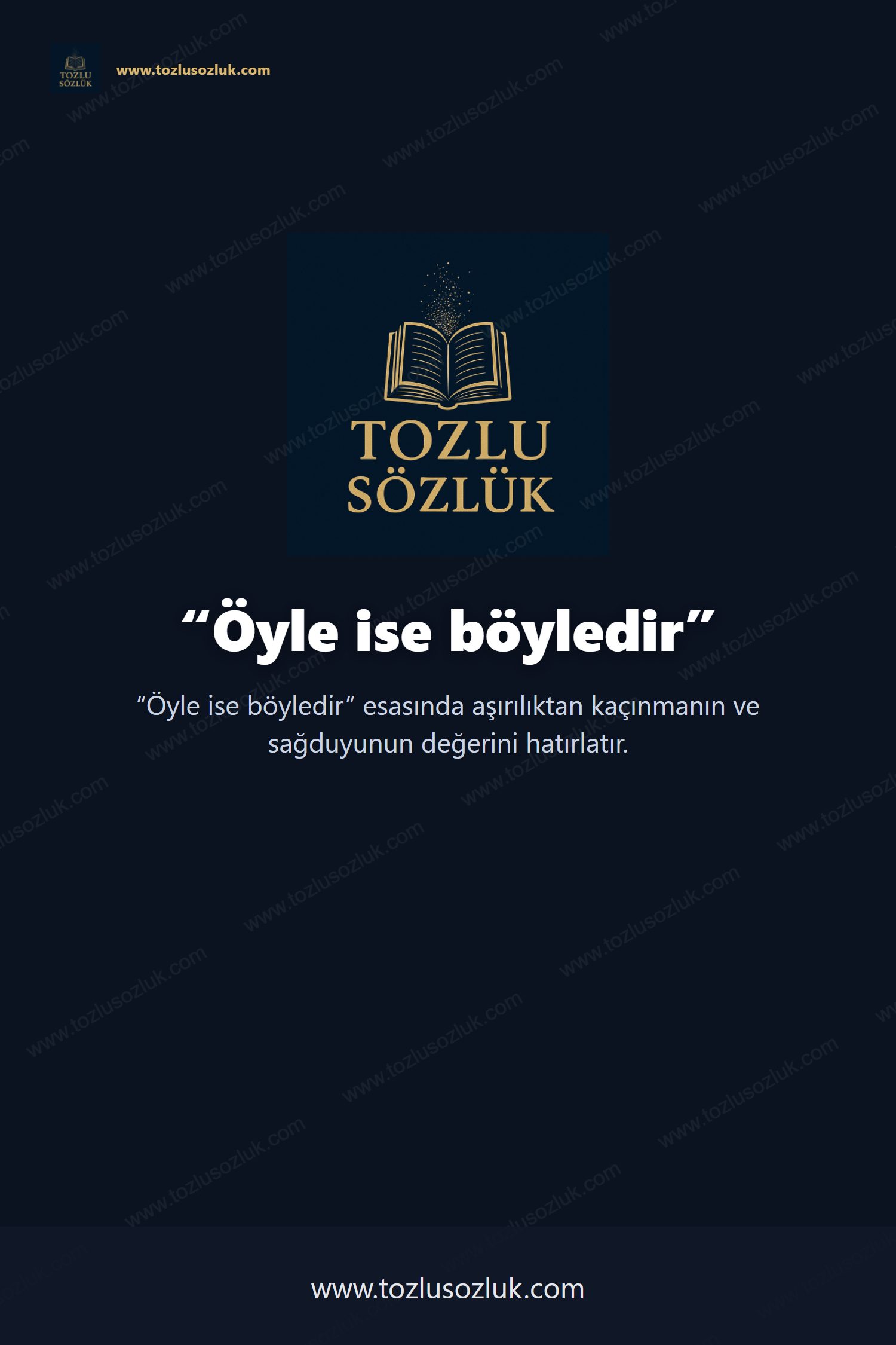 Öyle ise böyledir Pinterest görseli