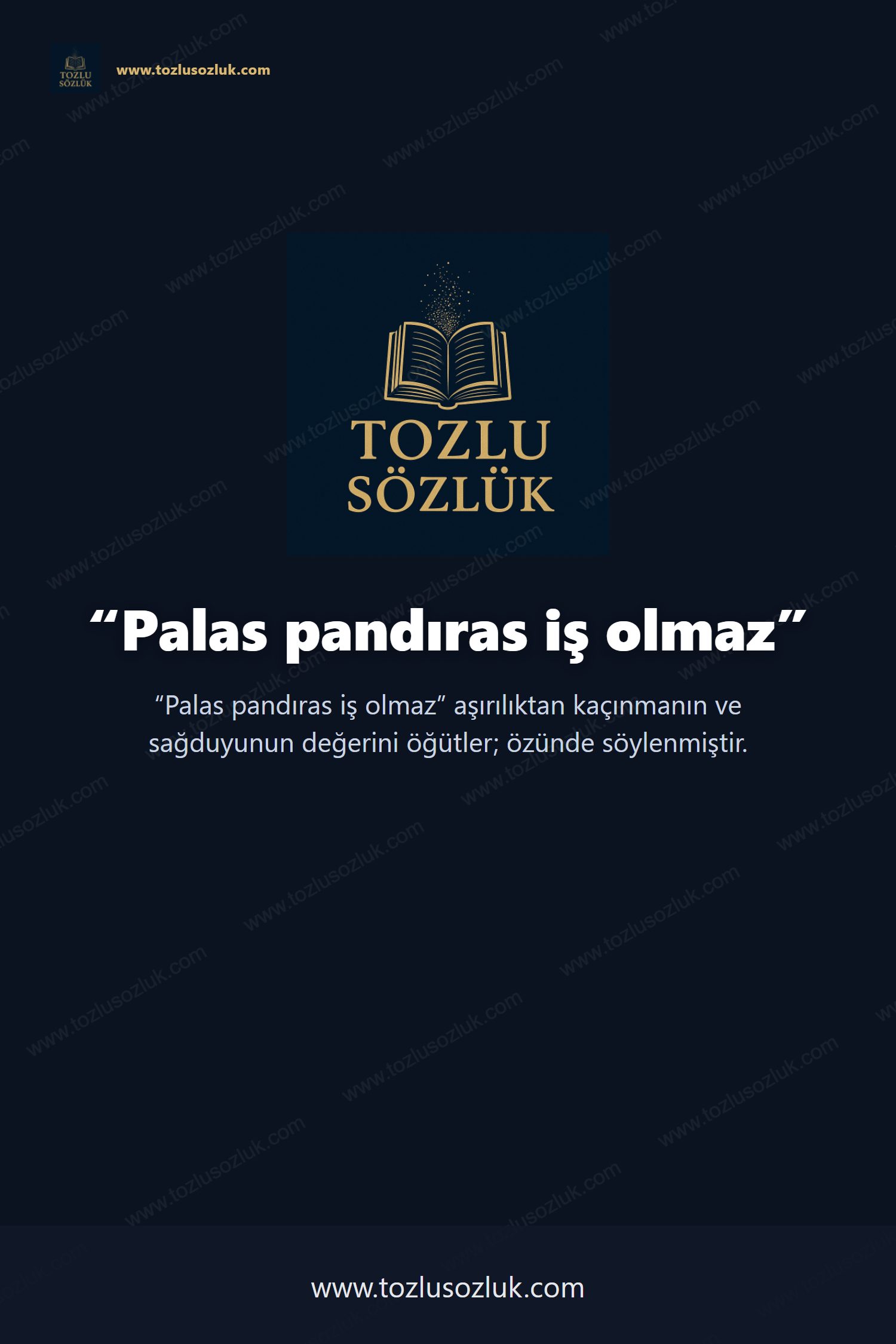 Palas pandıras iş olmaz Pinterest görseli