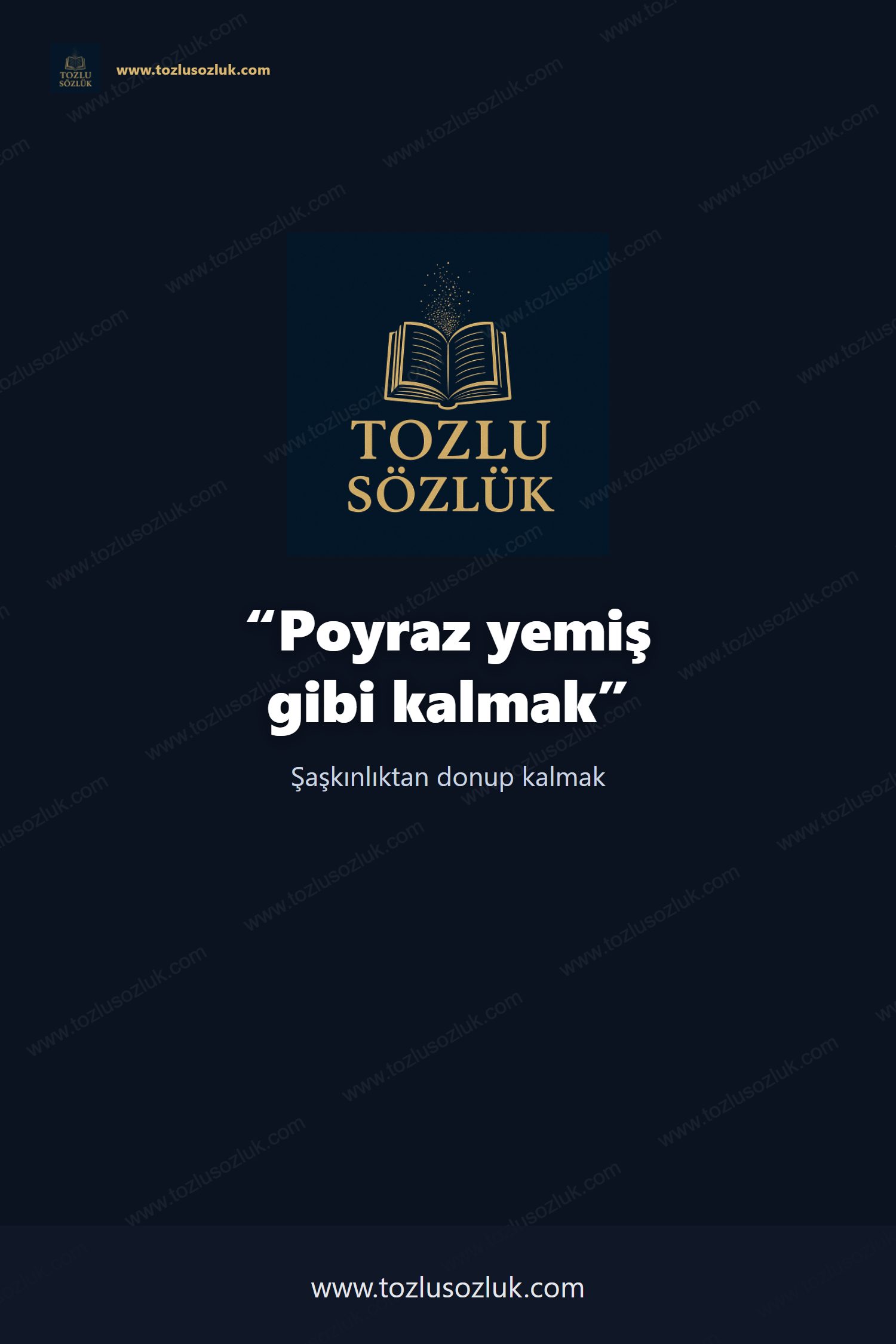 Poyraz yemiş gibi kalmak Pinterest görseli