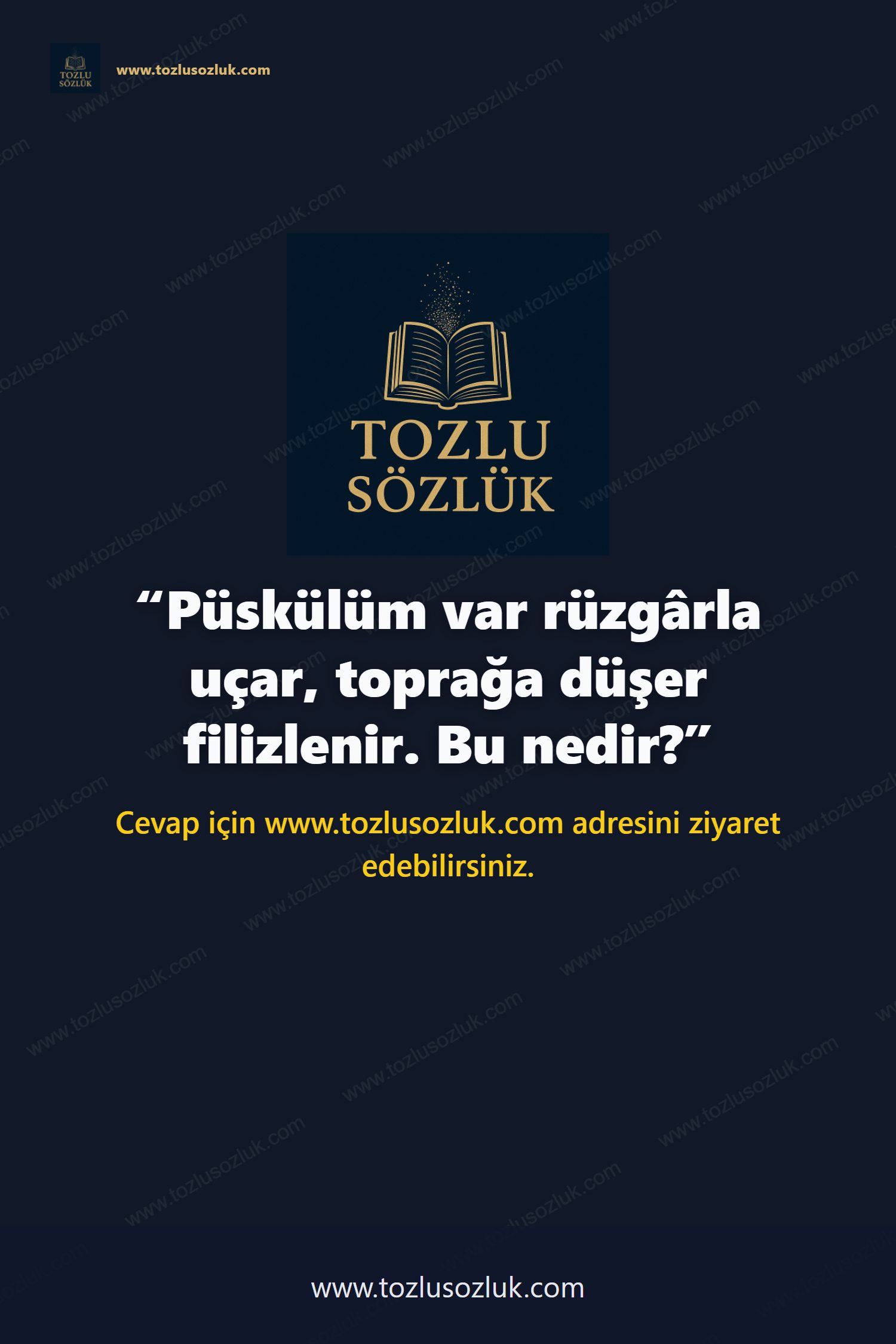 Püskülüm var rüzgârla uçar, toprağa düşer filizlenir. Bu nedir? Pinterest görseli