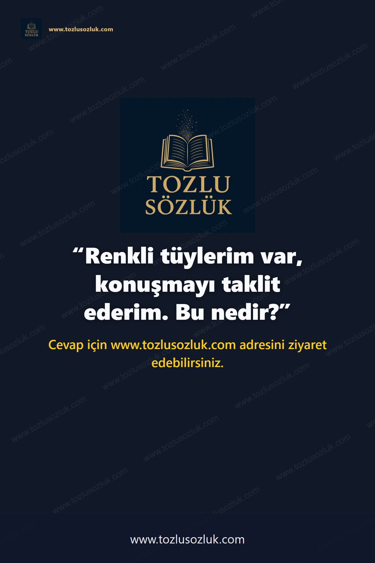 Renkli tüylerim var, konuşmayı taklit ederim. Bu nedir? Pinterest görseli