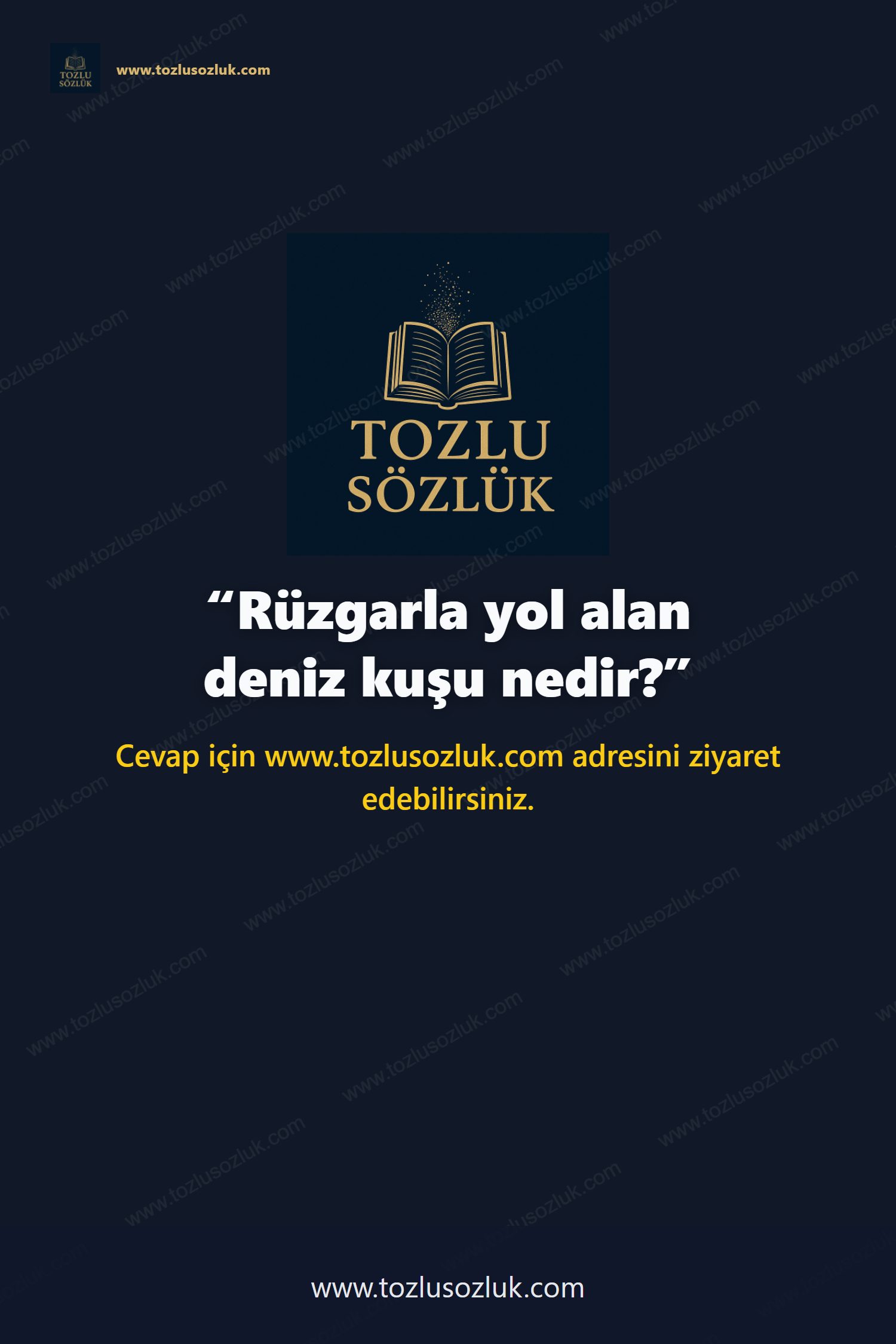 Rüzgarla yol alan deniz kuşu nedir? Pinterest görseli