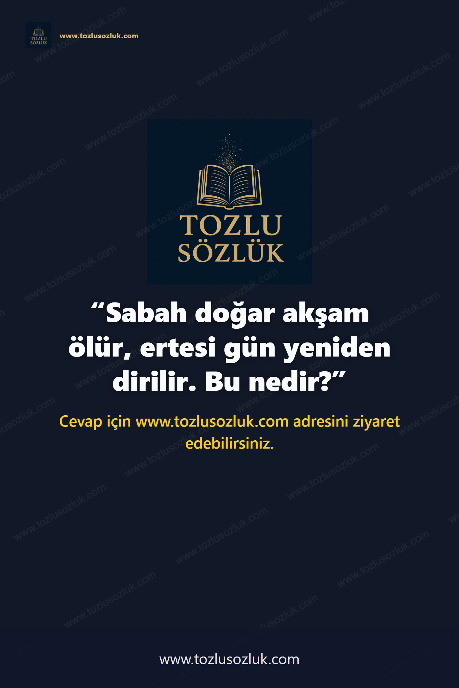 Sabah doğar akşam ölür, ertesi gün yeniden dirilir. Bu nedir? Pinterest görseli