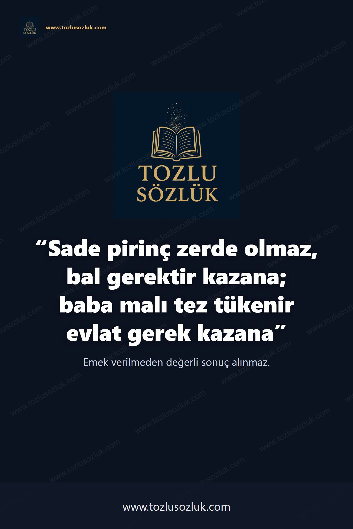 Sade pirinç zerde olmaz, bal gerektir kazana; baba malı tez tükenir evlat gerek kazana Pinterest görseli