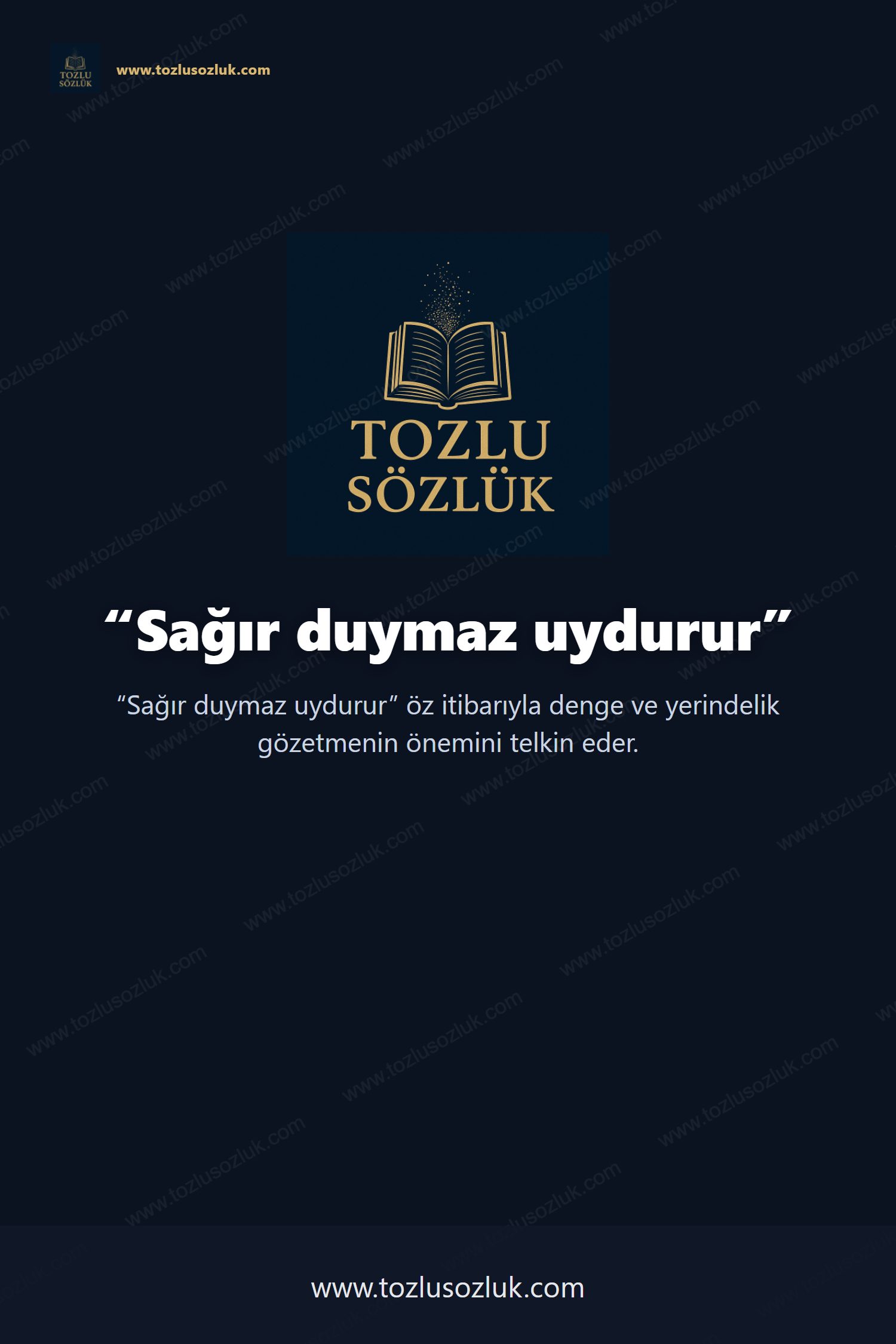 Sağır duymaz uydurur Pinterest görseli